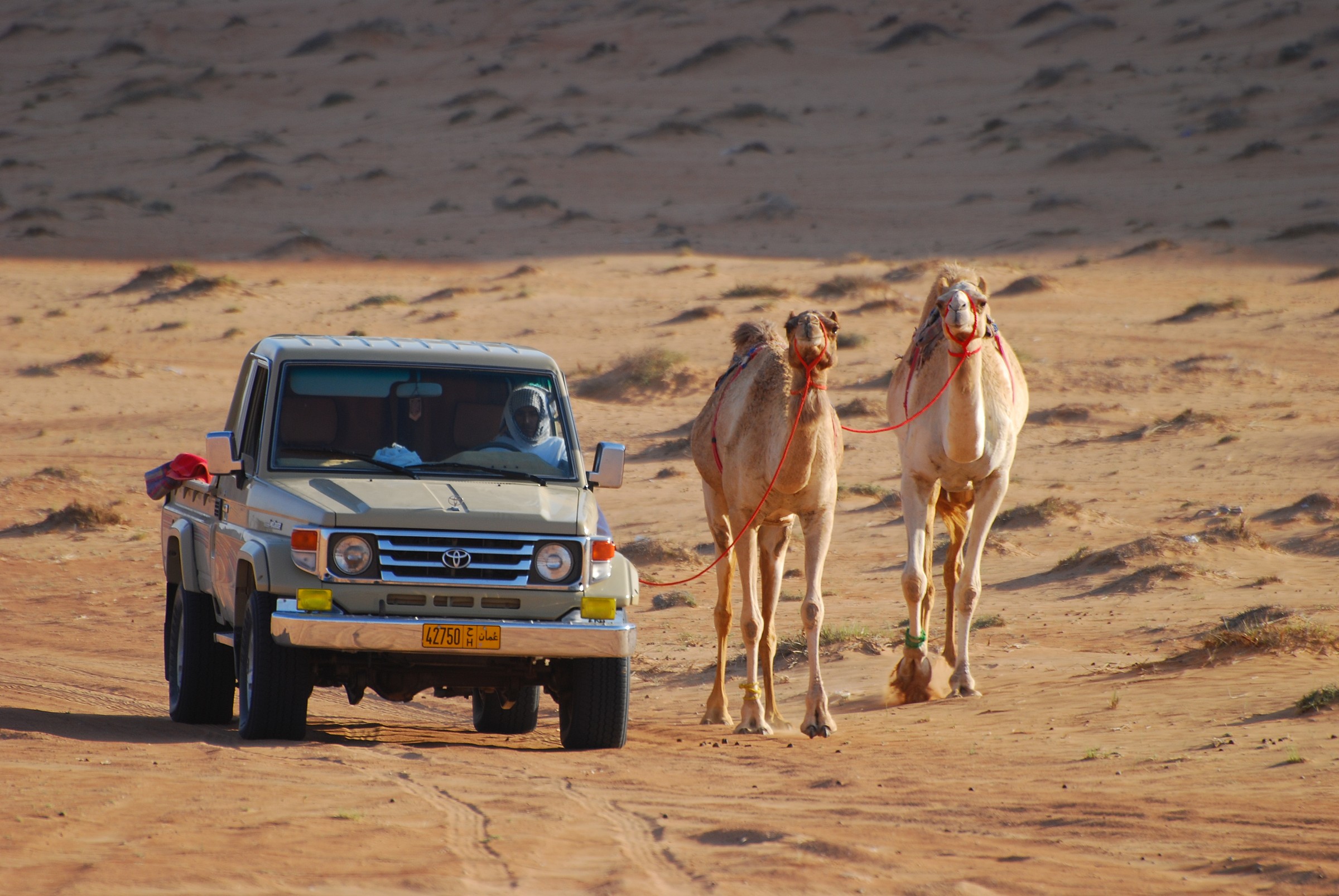 modern and traditional