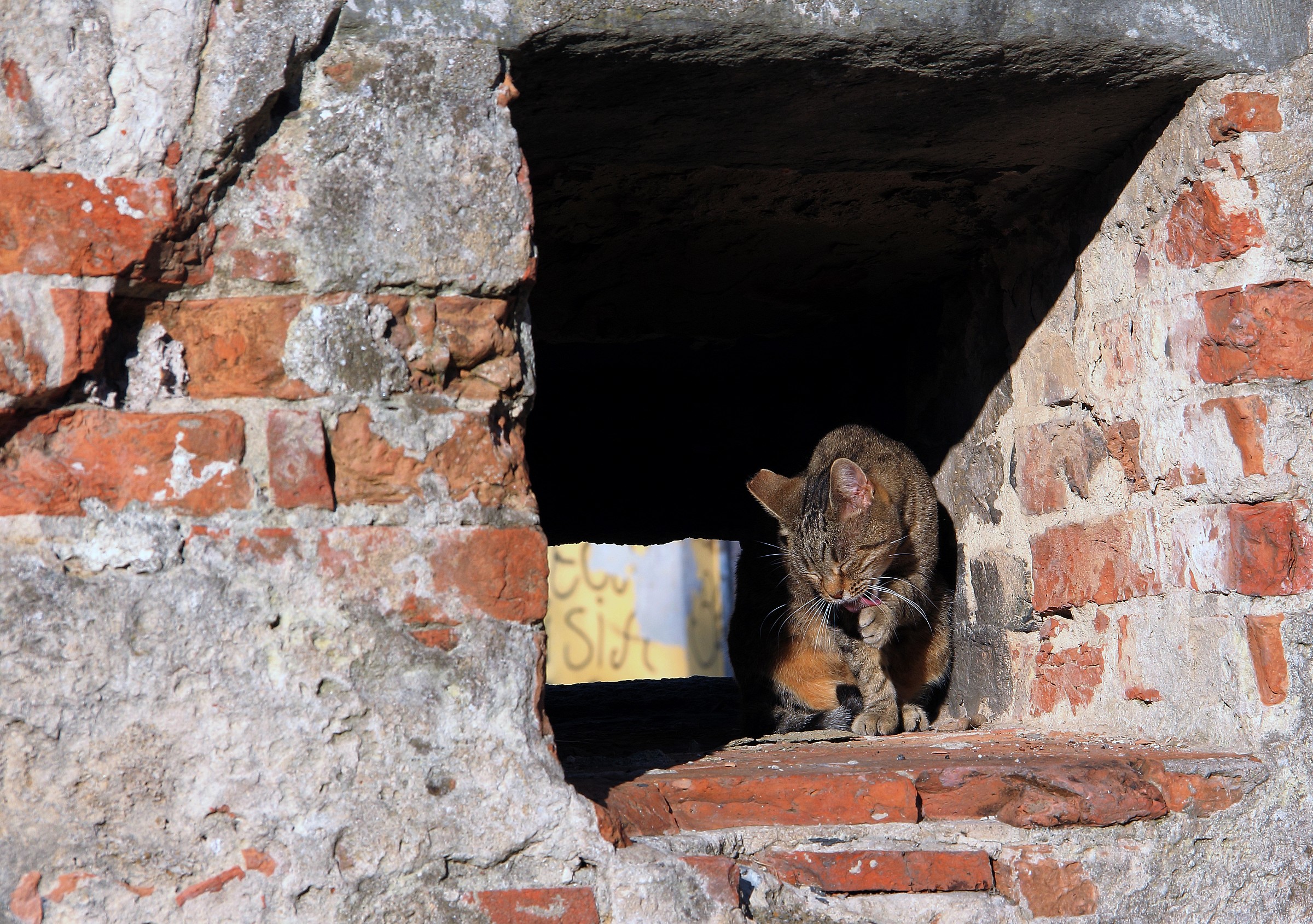 vita di tutti i giorni