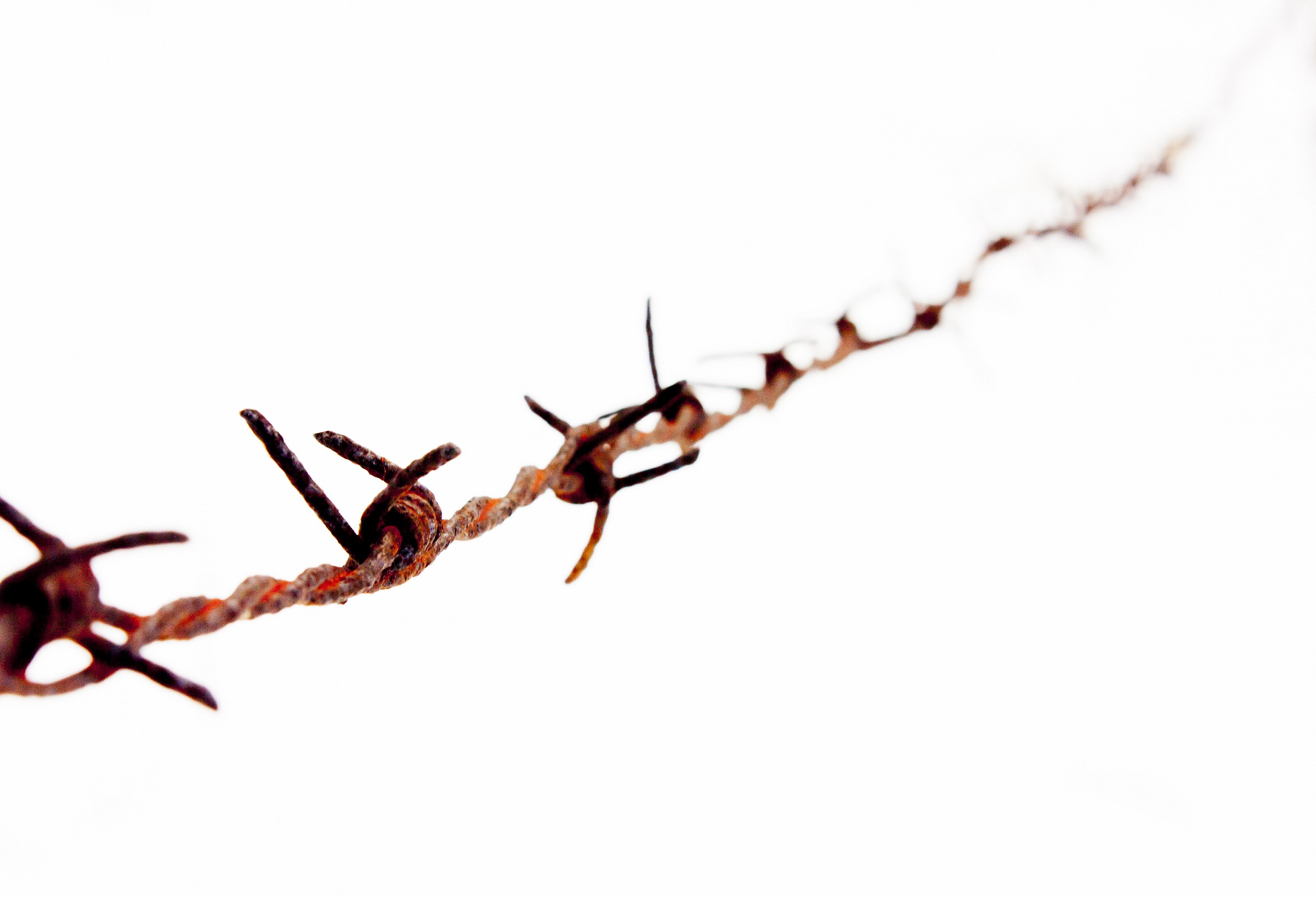 Barbed wire
