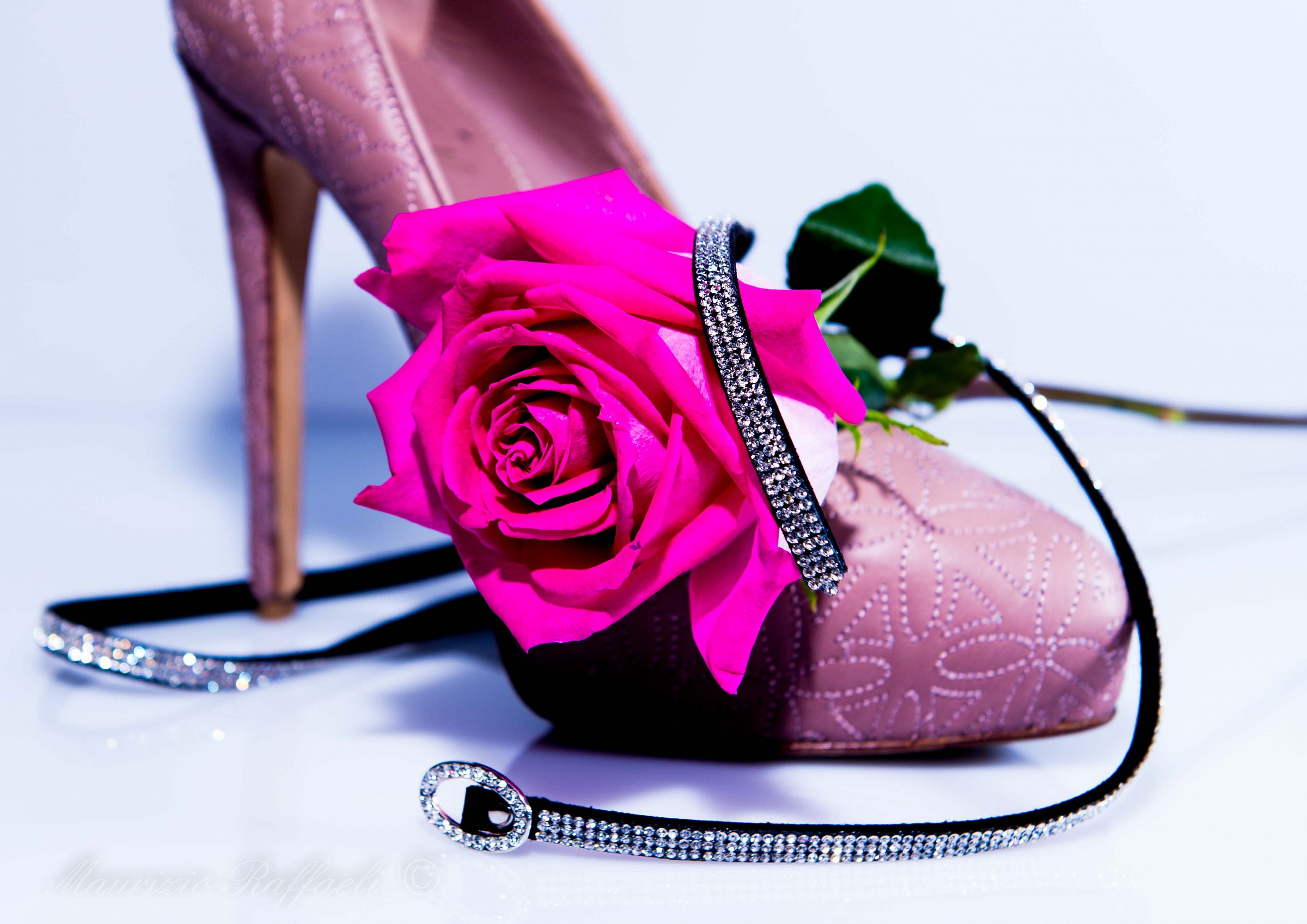 Rose and Heel