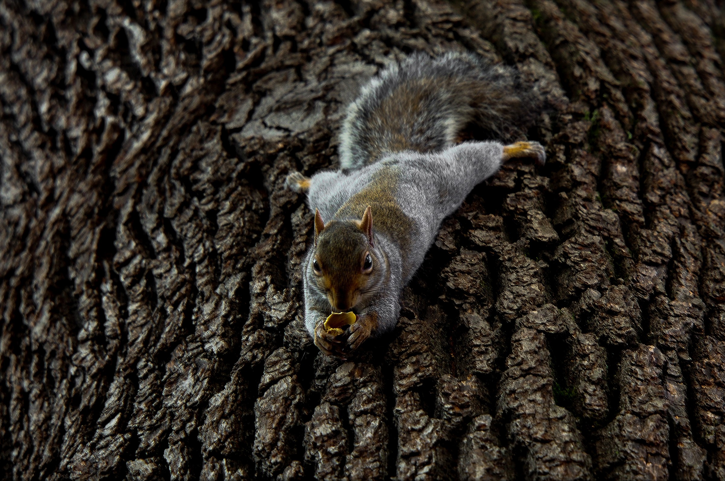 a tu per tu....................