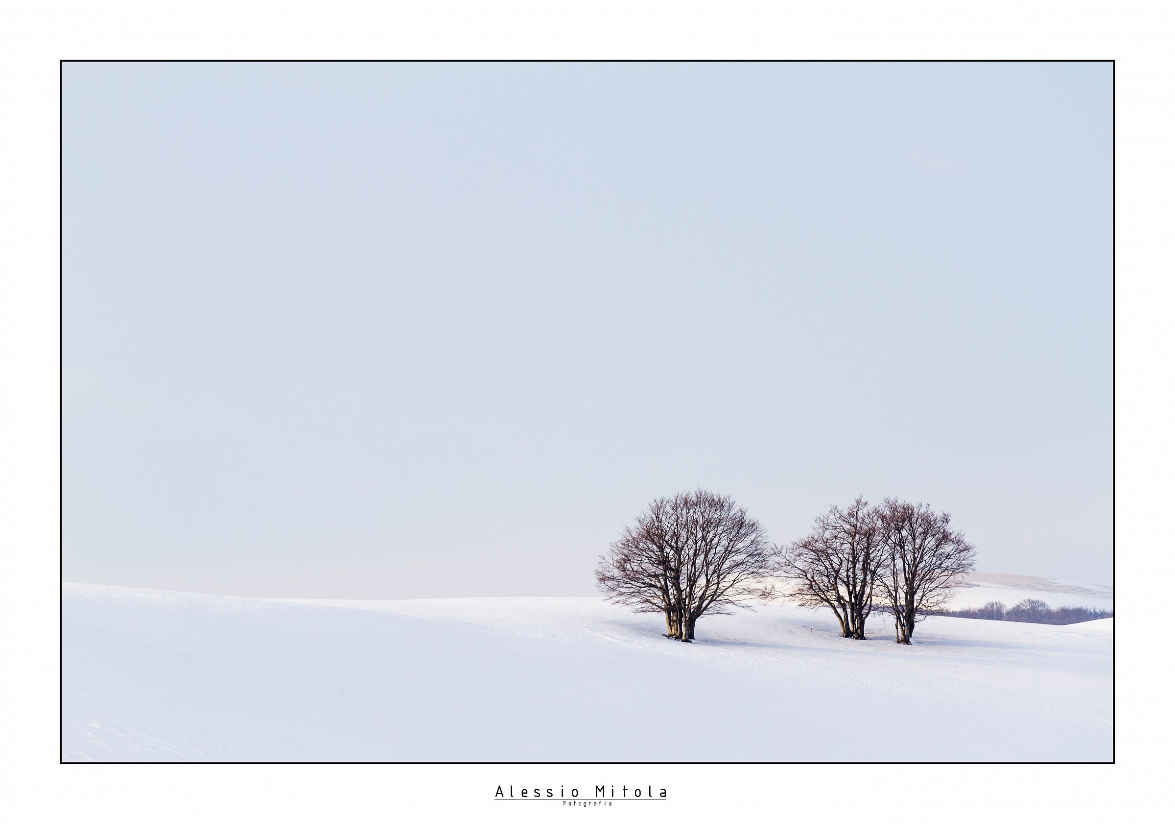 Minimal trees