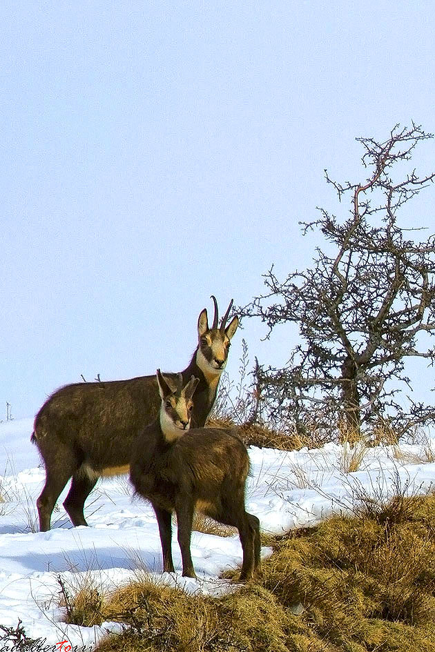 Smile arriving tourists ......