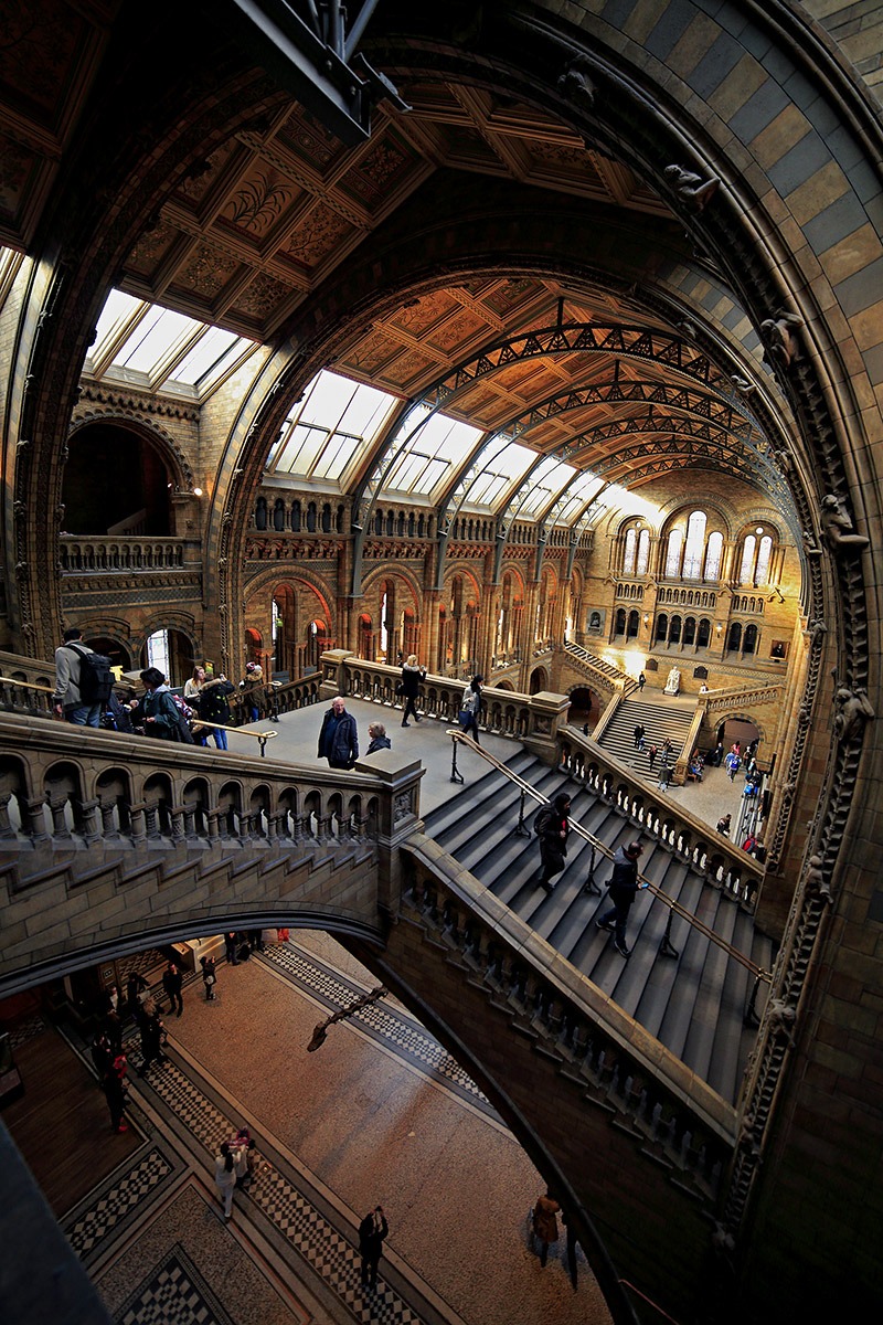 Natural history museum...london