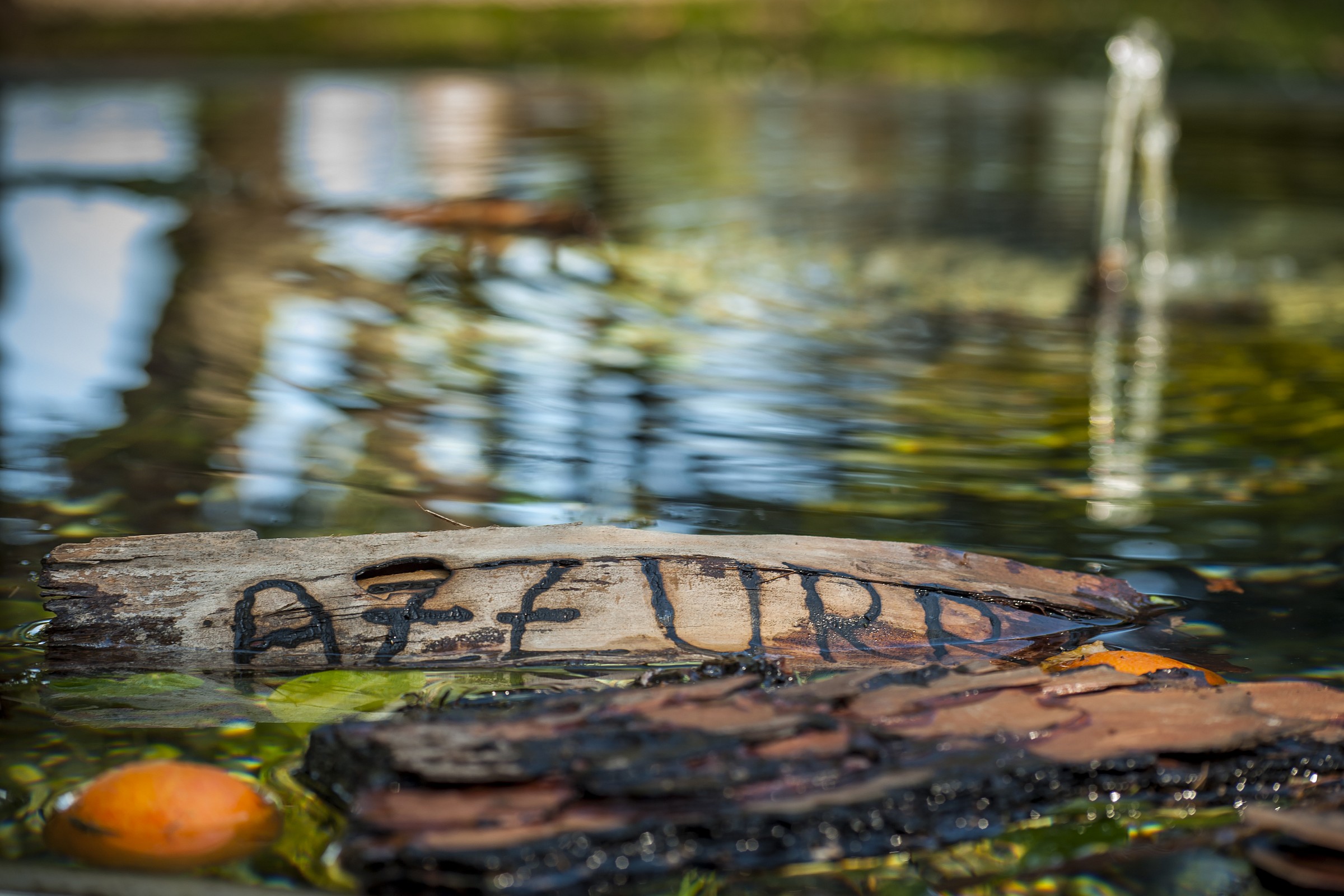 ...il naufragio di un mito