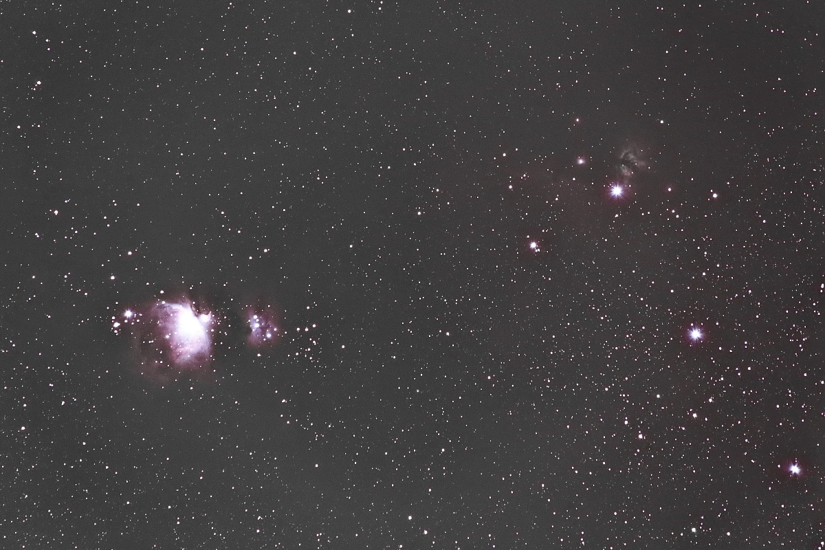 Scatto singolo di Orione, Fiamma e Cavallo!