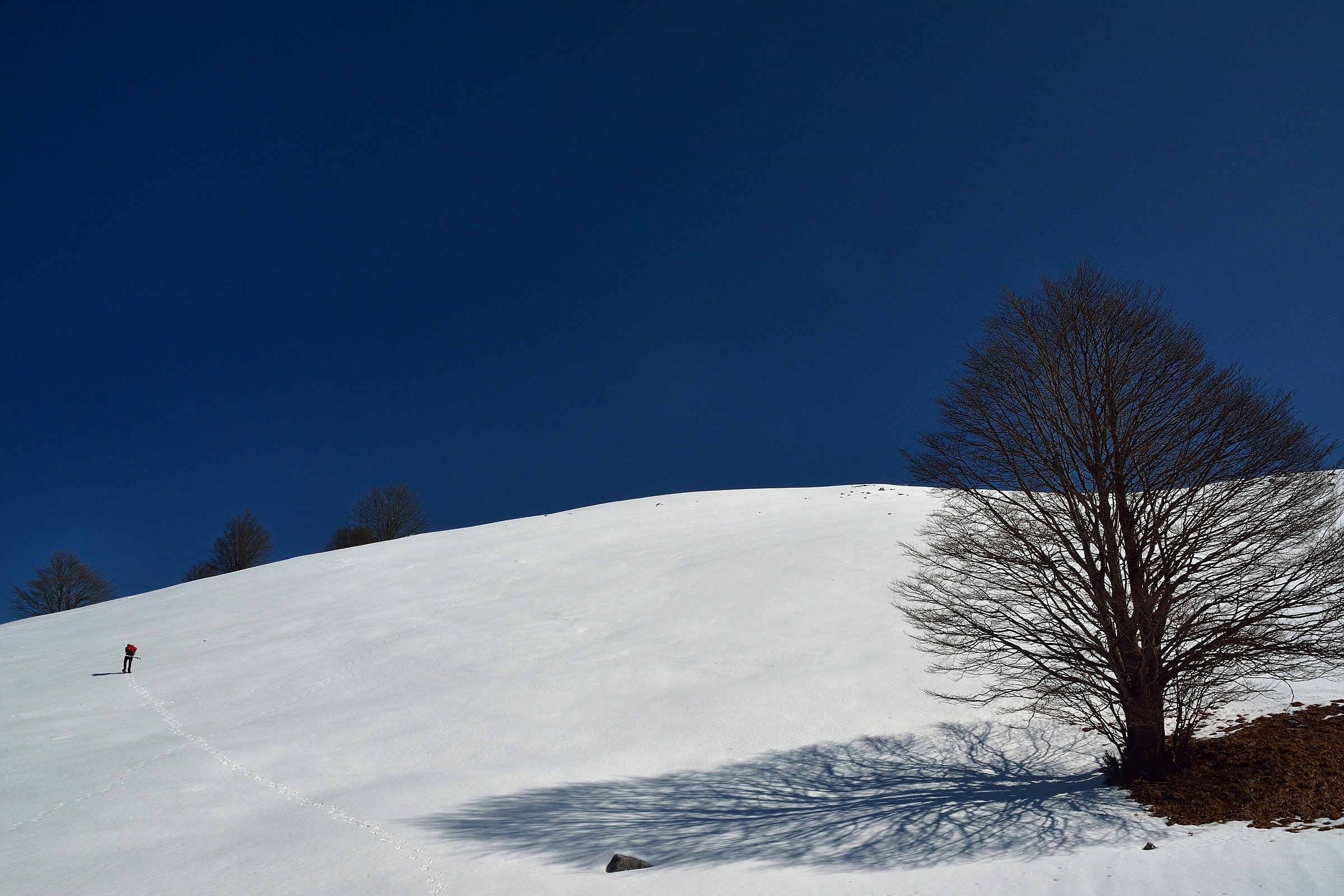 Ciaspolalando  nel silenzio...