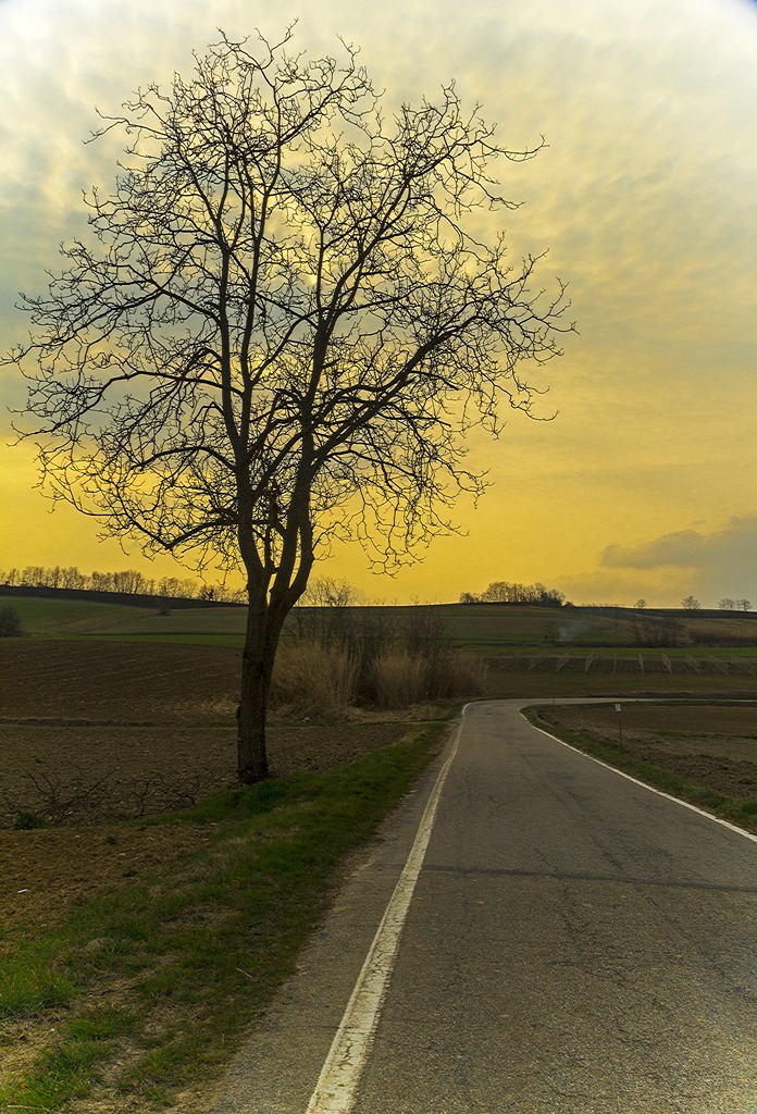 On the way to Cuccaro M.to