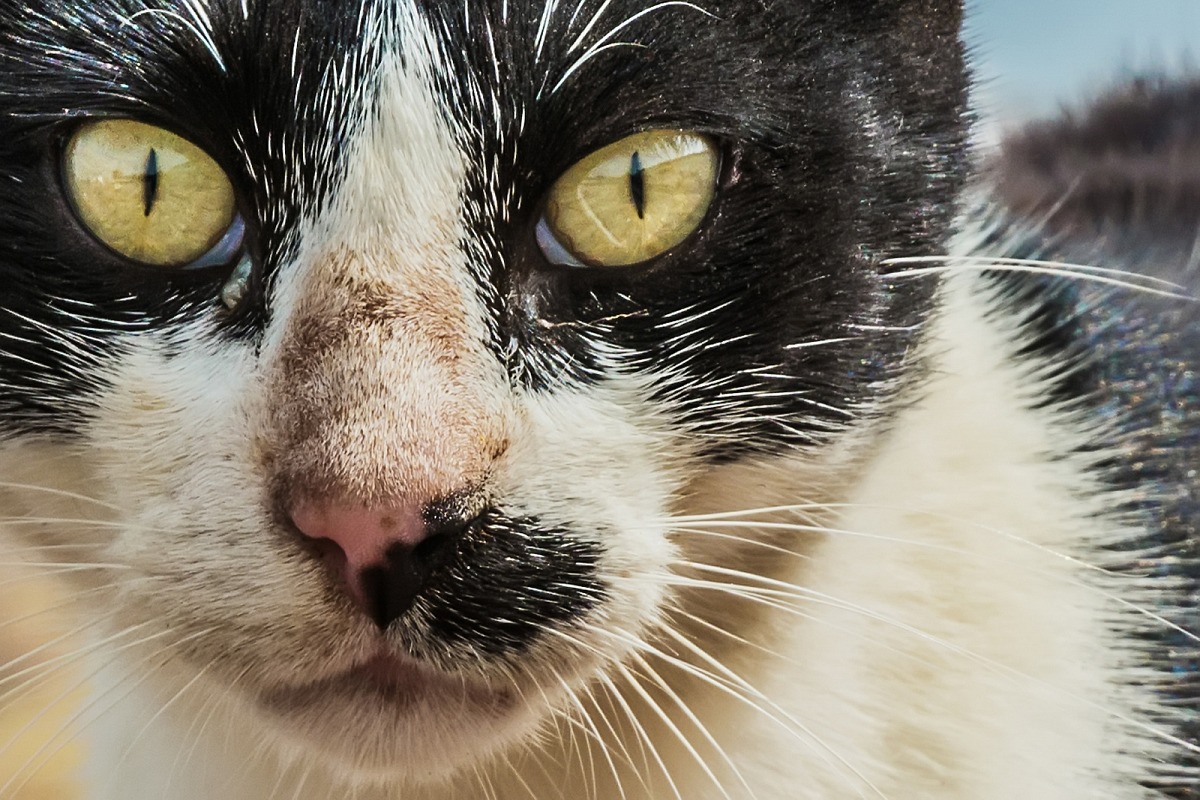 One look is worth a thousand words