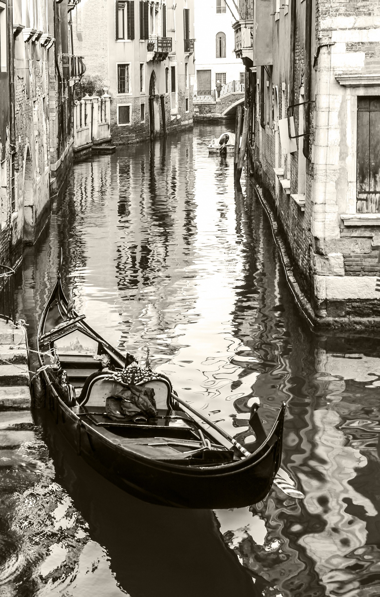 the gondola