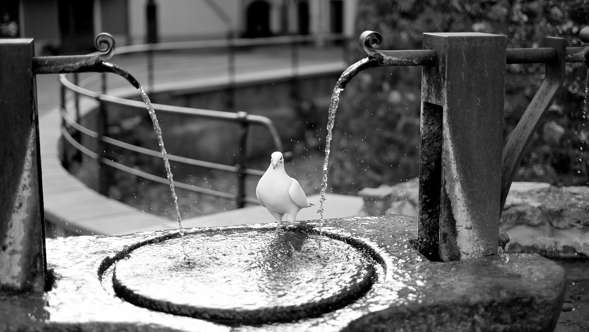 Un po' di refrigerio