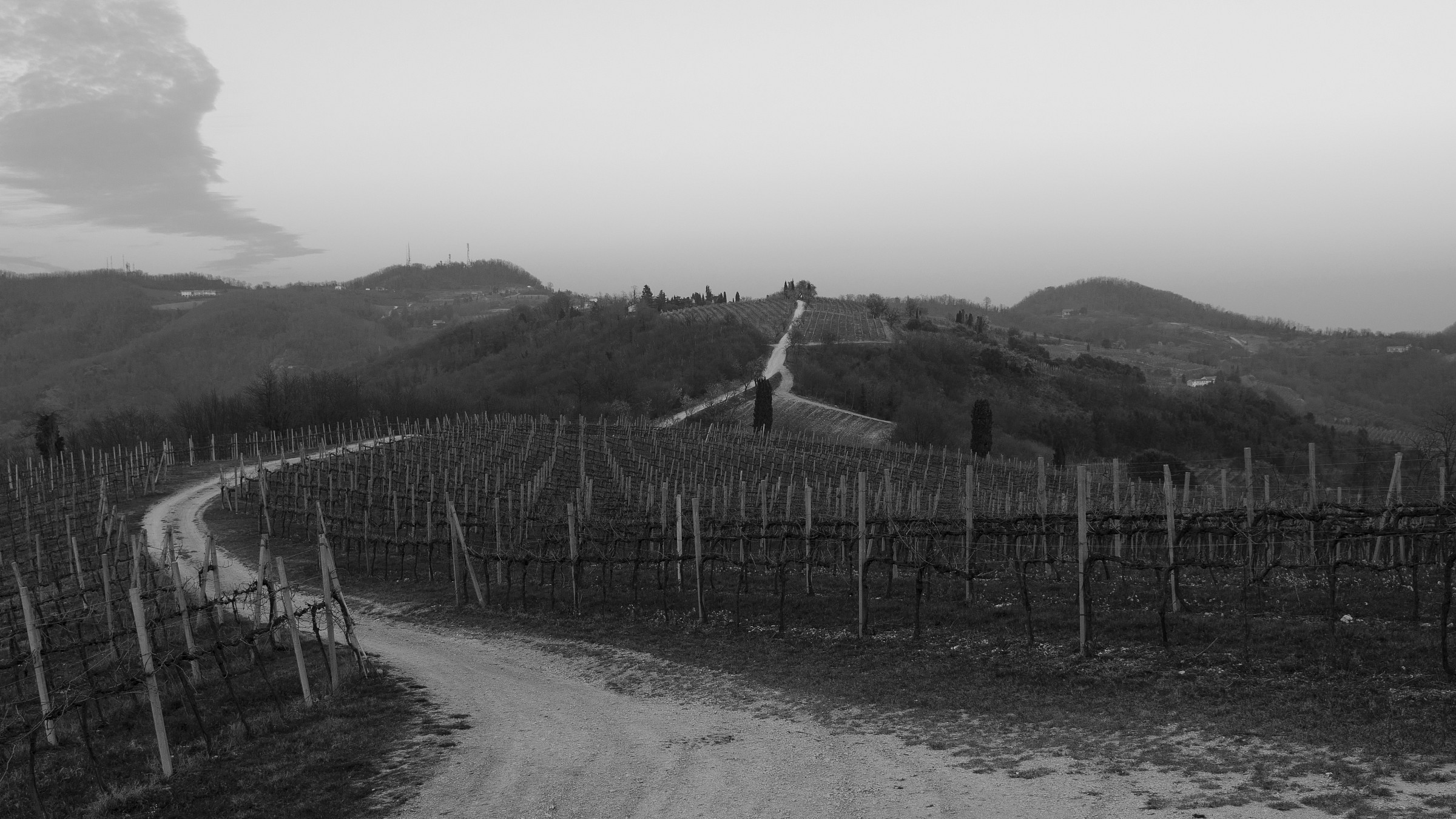 strada del Vino