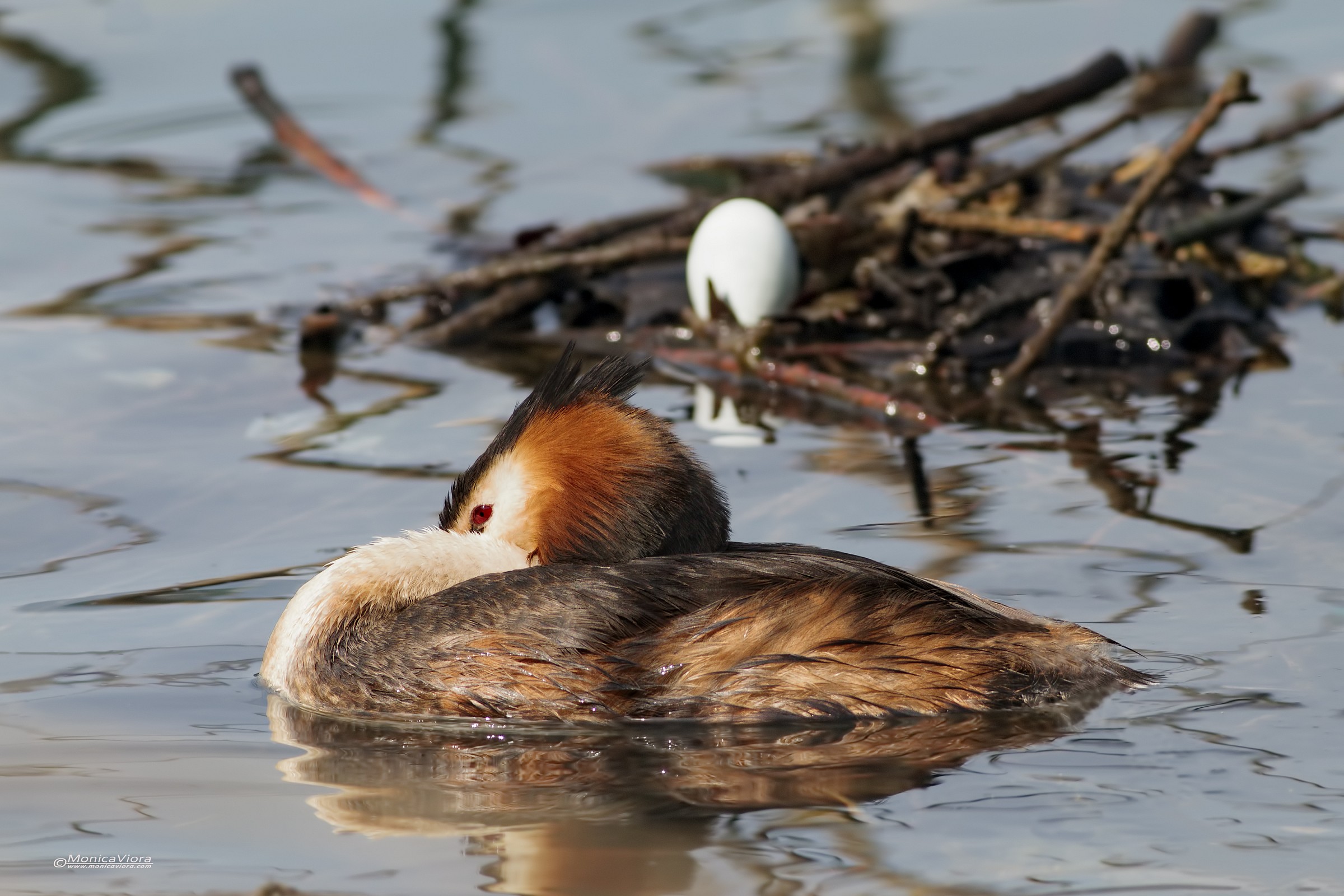 Moms always sleep with one eye