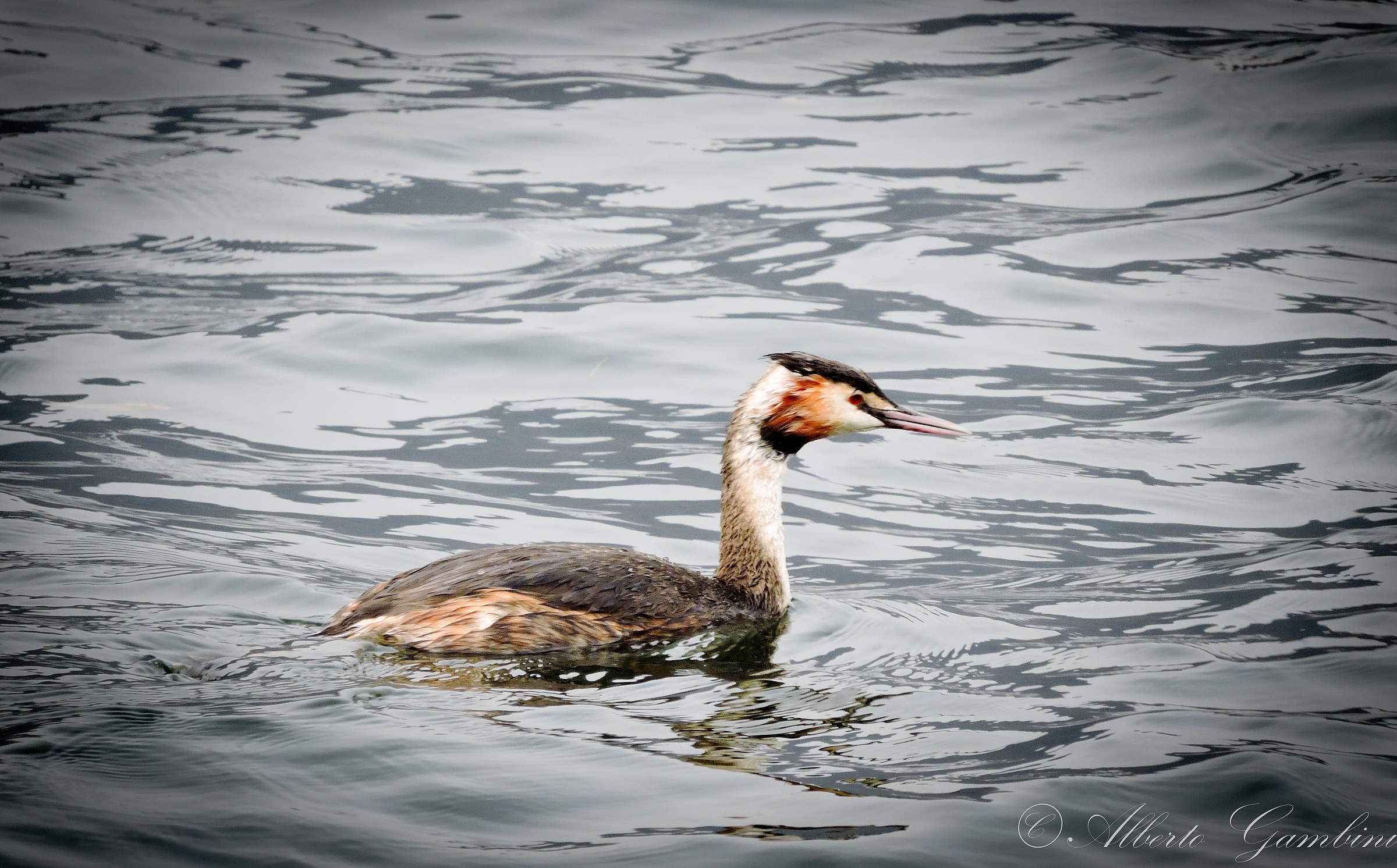 Feathery dej Lake Iseo