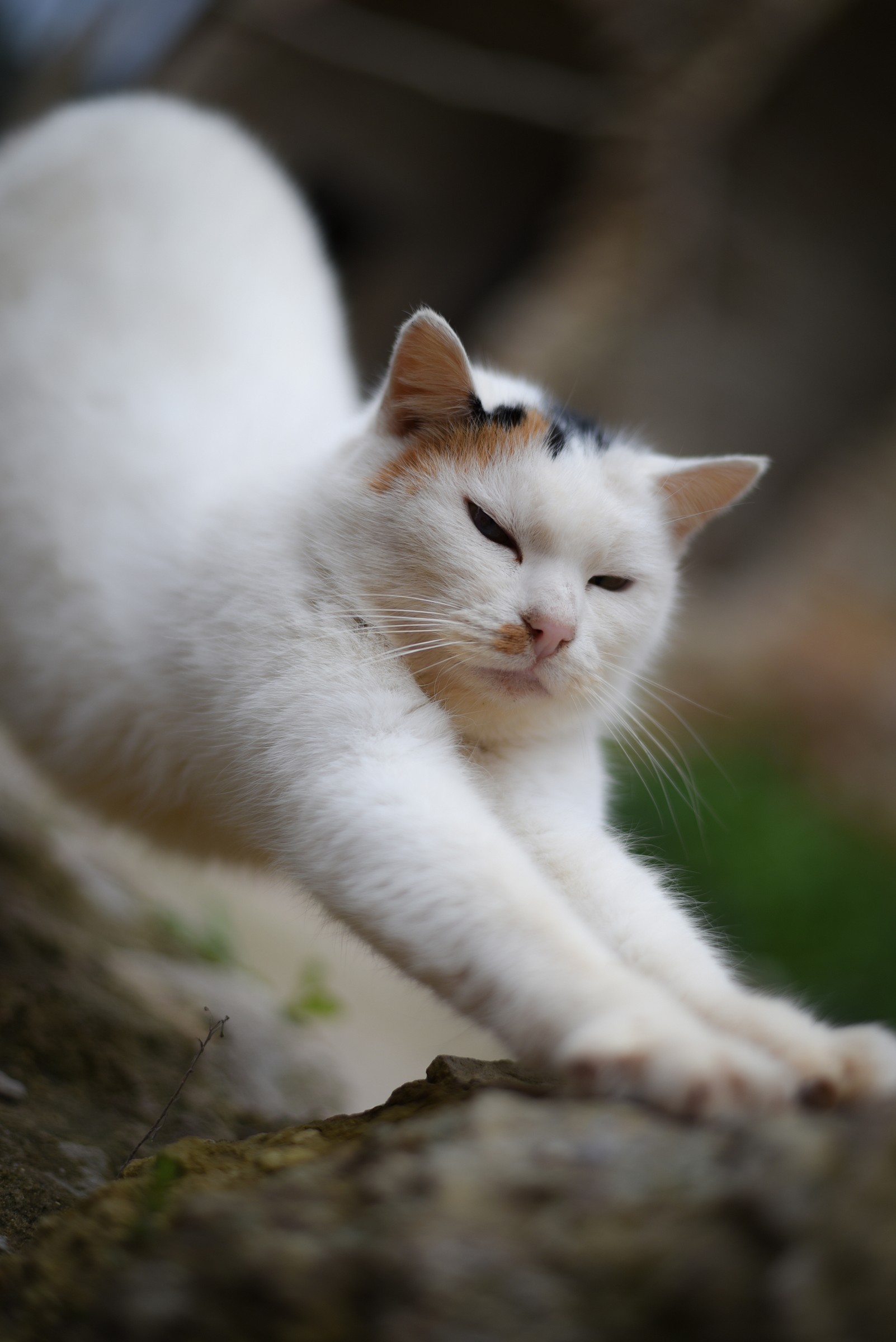 Mmmmh...che sonno!!!