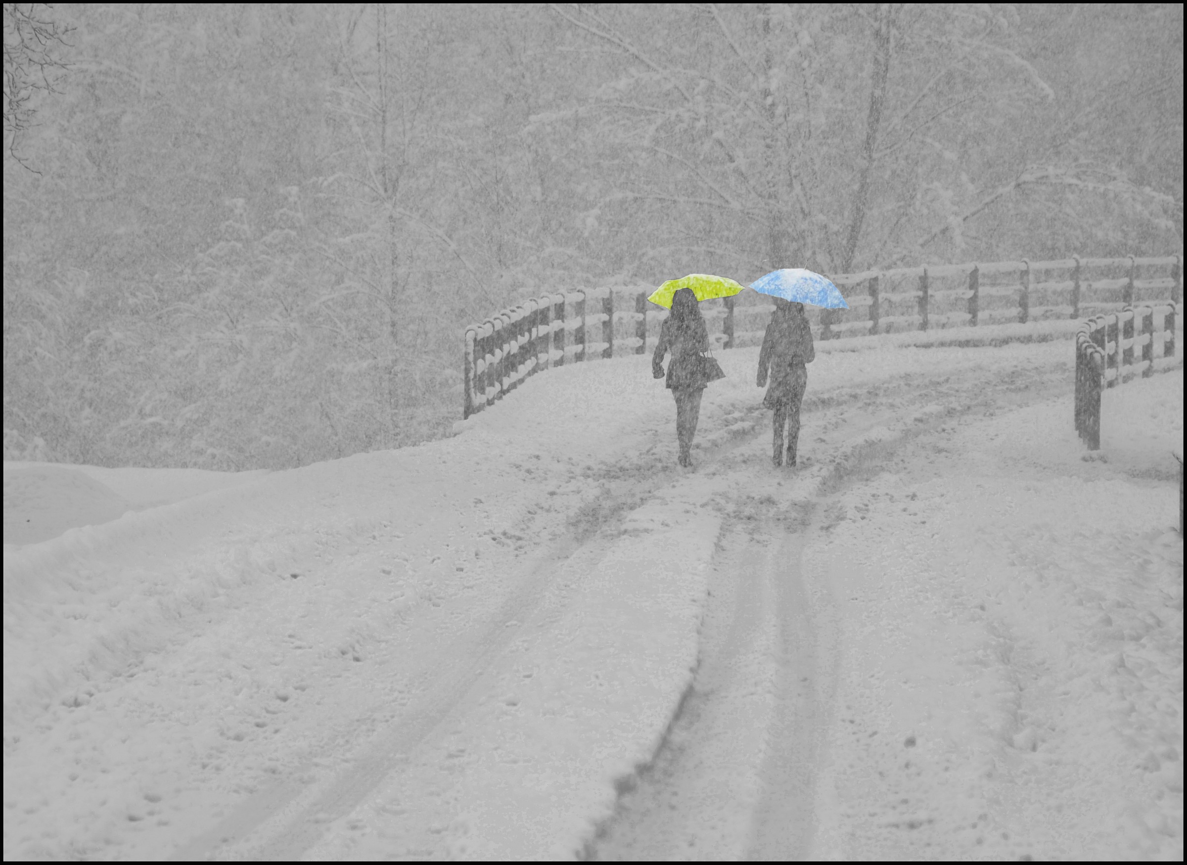 Due amiche e ... tanta neve