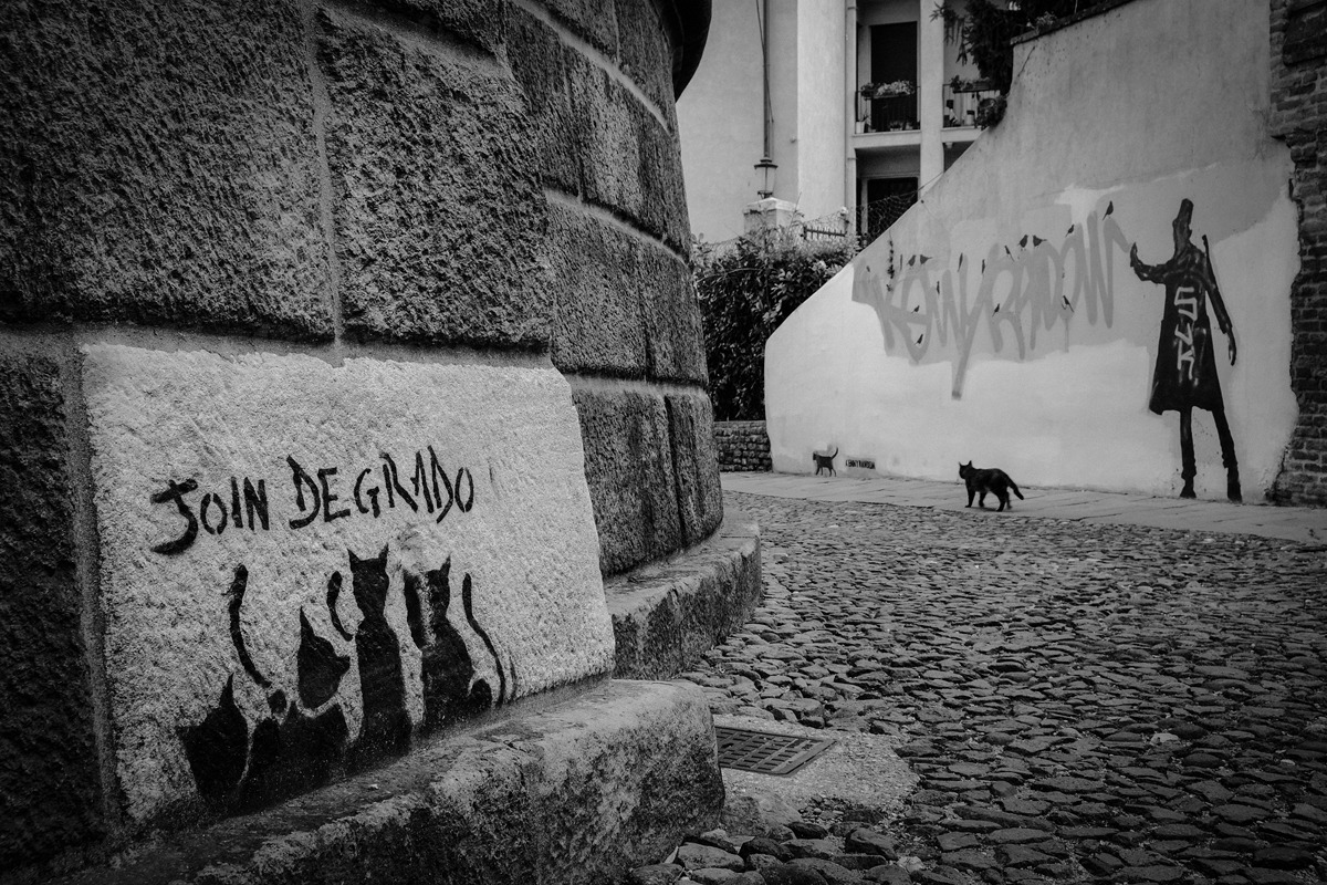 La Compagnie du Chat Noir