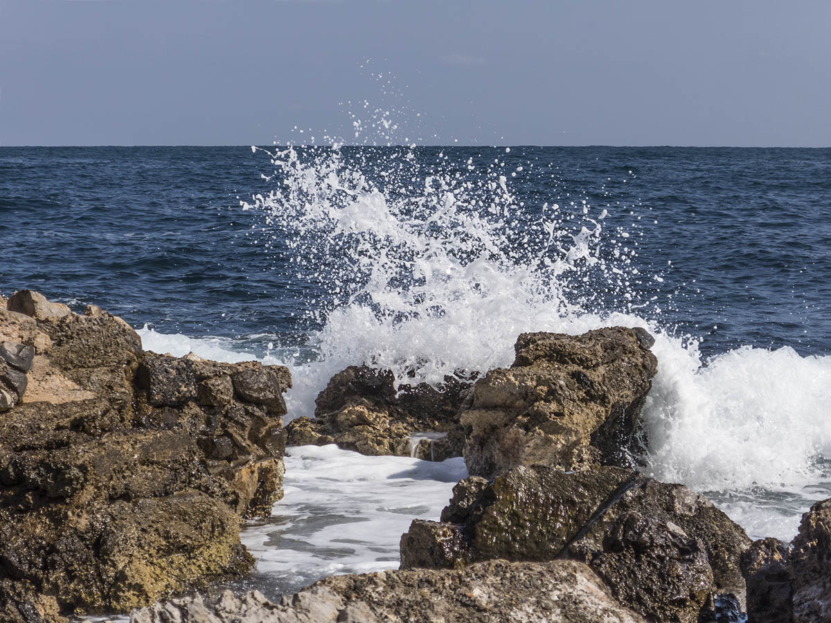 Reserve Capo Gallo Palermo 1
