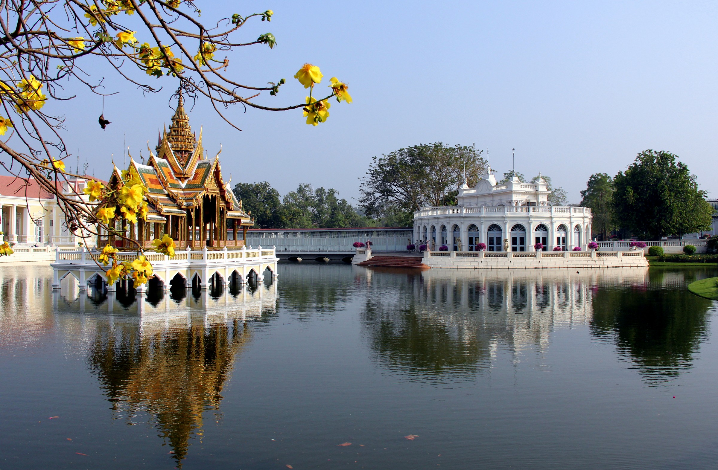 Reflections in the pond