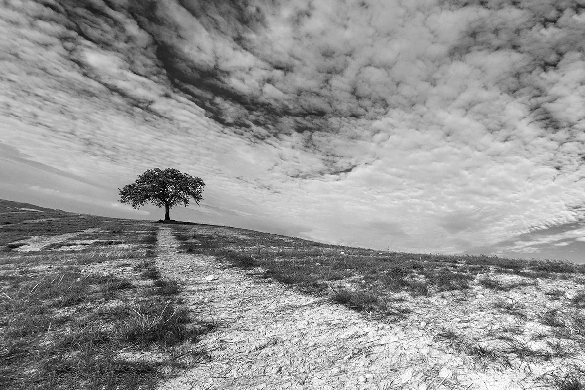 ...il confine tra cielo e terra...
