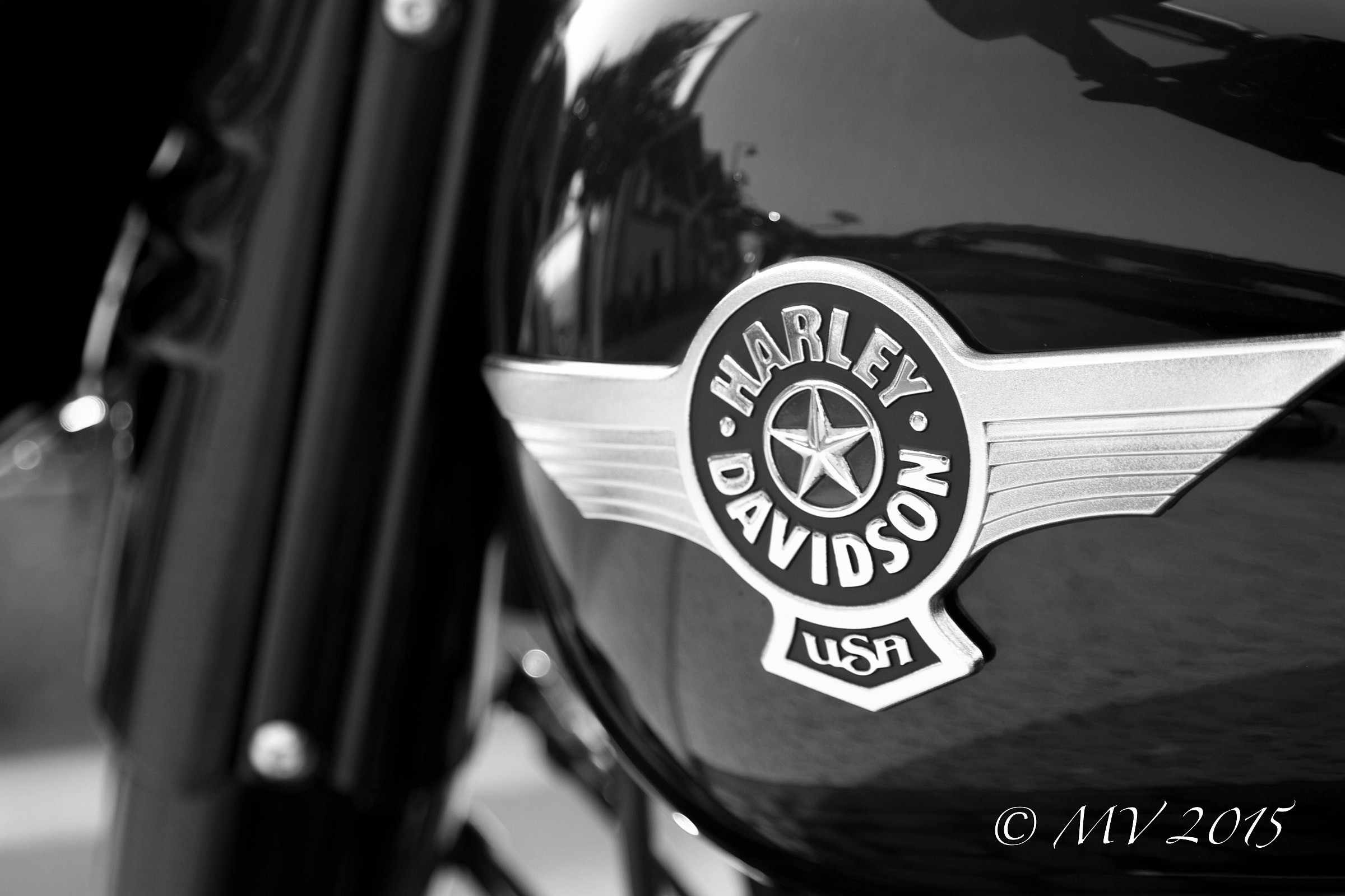 Raduno Harley-Davidson