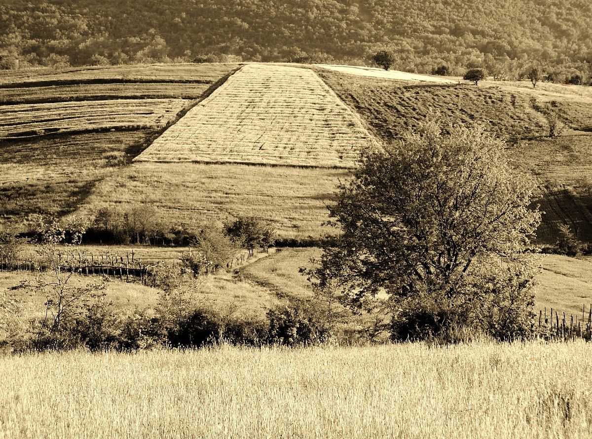 Ancient landscape without telephone poles