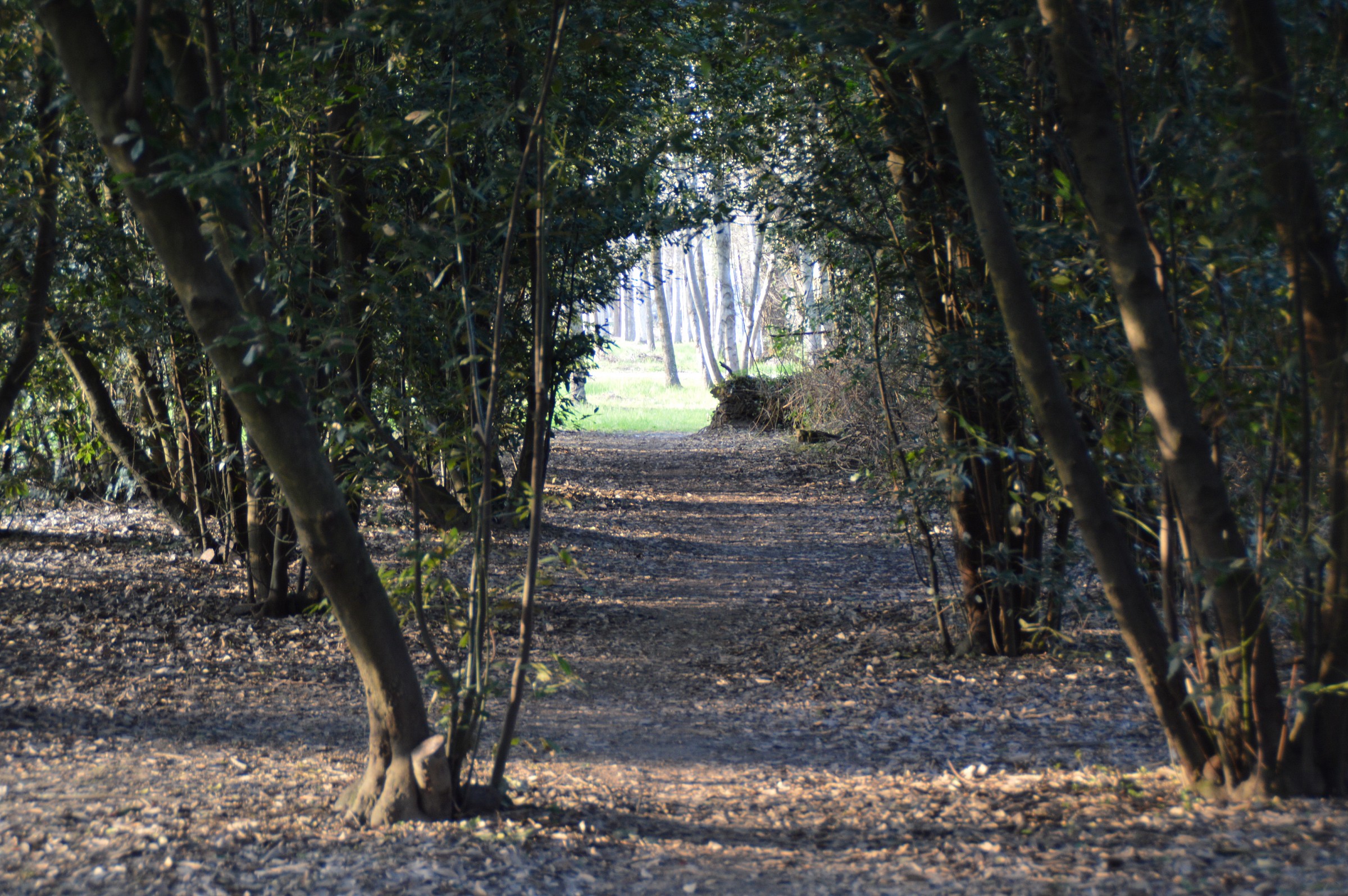 luce in fondo al tunnel
