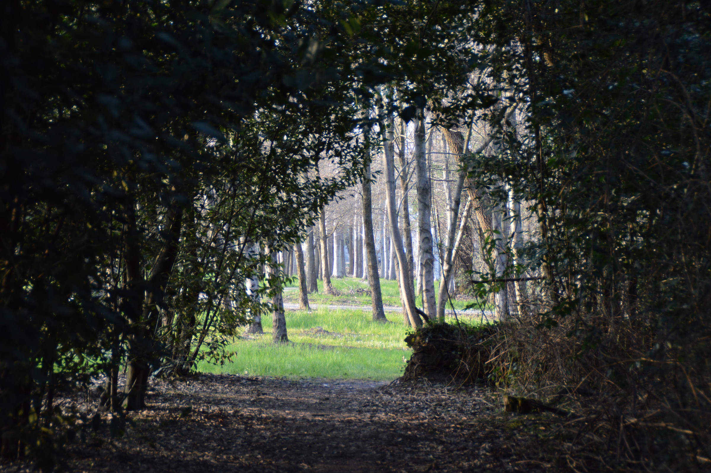 luce in fondo al tunnel 2