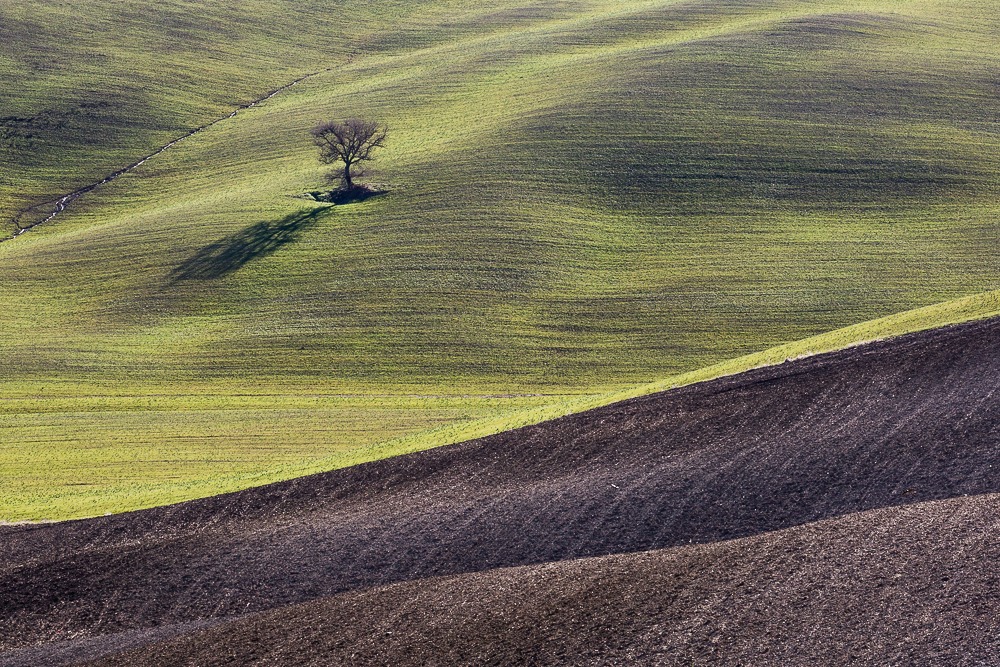 Contrasti in val d'Orcia