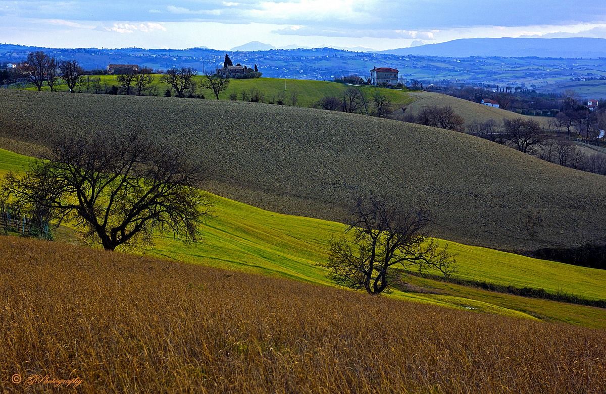 From the Hills to the Conero