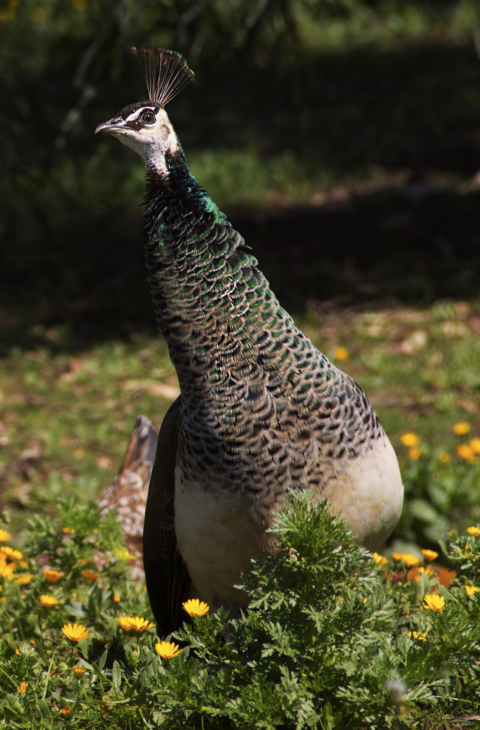 Who else is in there !!!