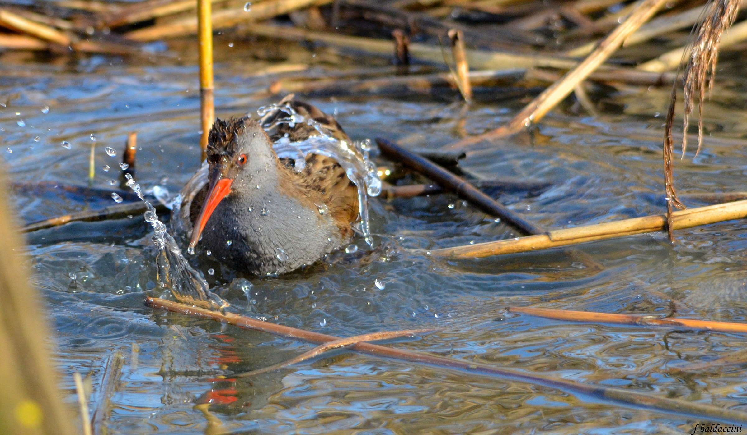 the bath of porcilione