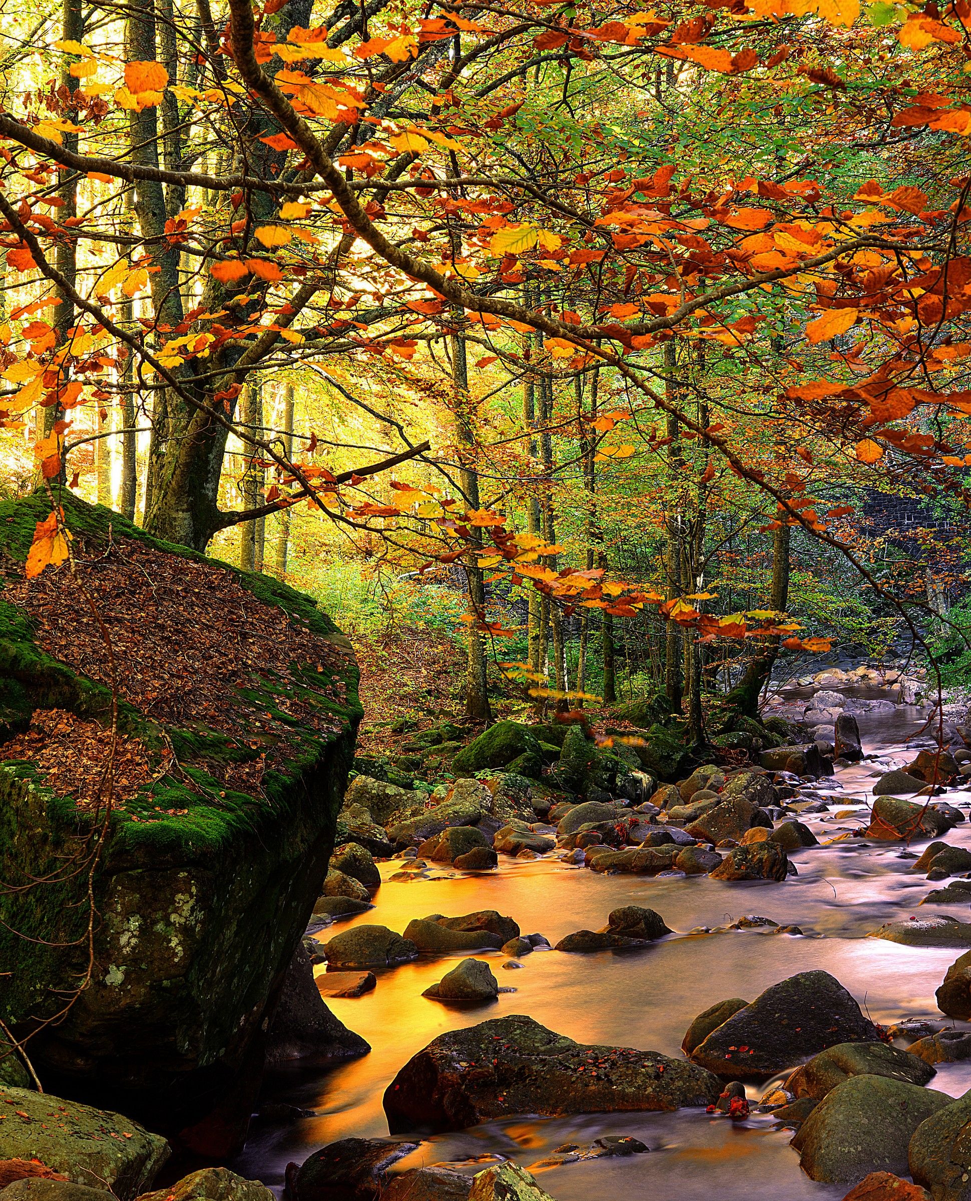 La forza dei colori caldi