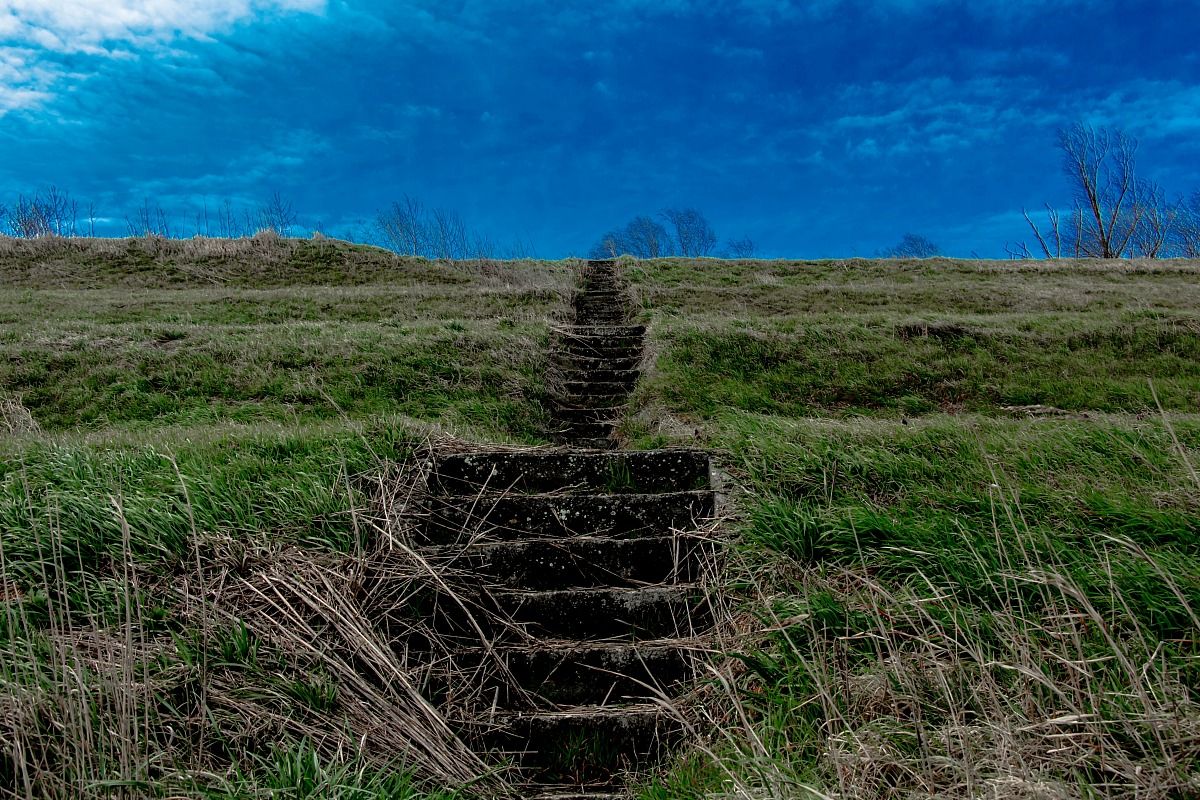 tre metri sotto i pesci.
