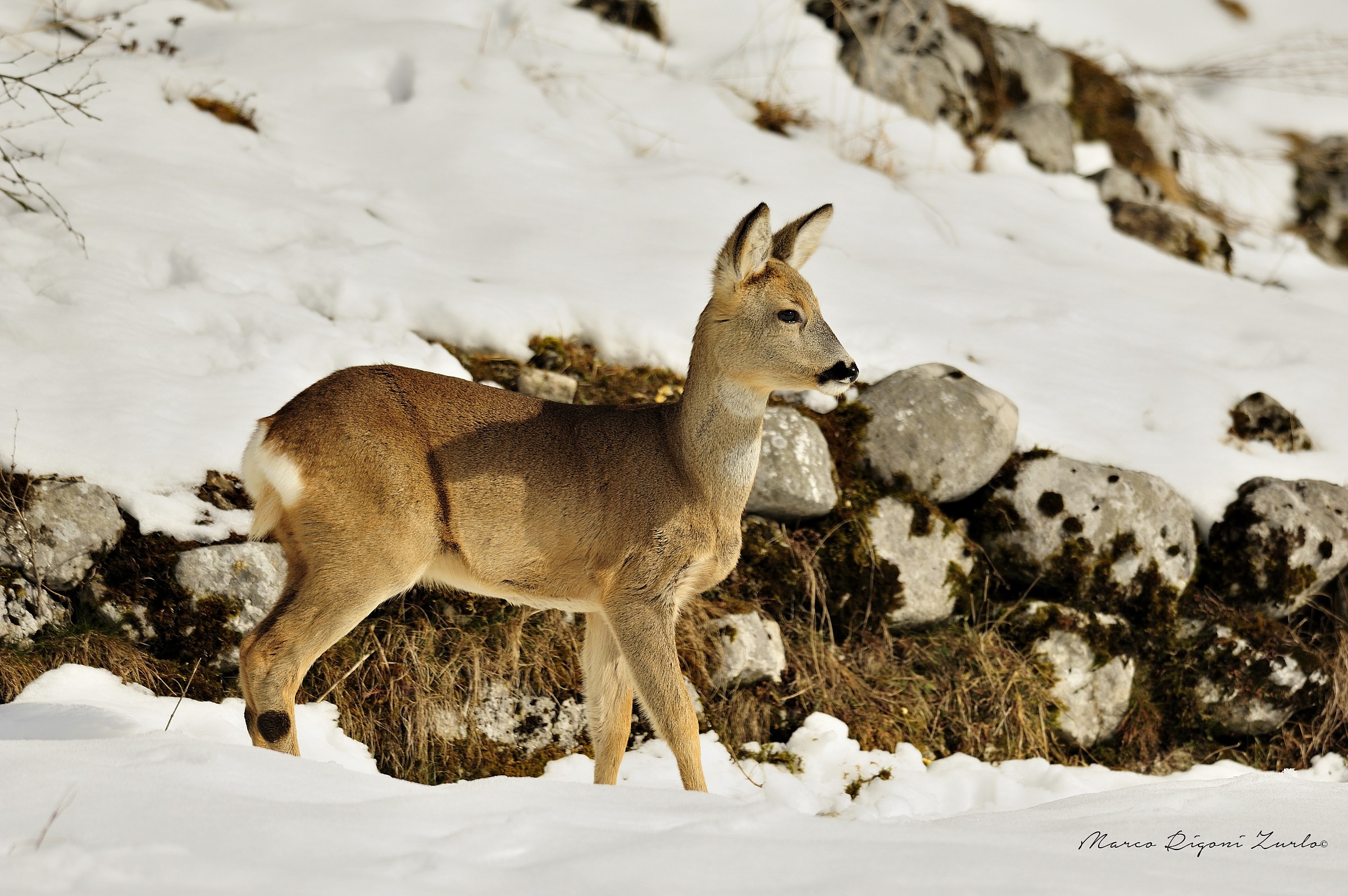 Somersault, Nikon D700, Nikon 300mm F4D, 1/5000, f5, ISO 500...