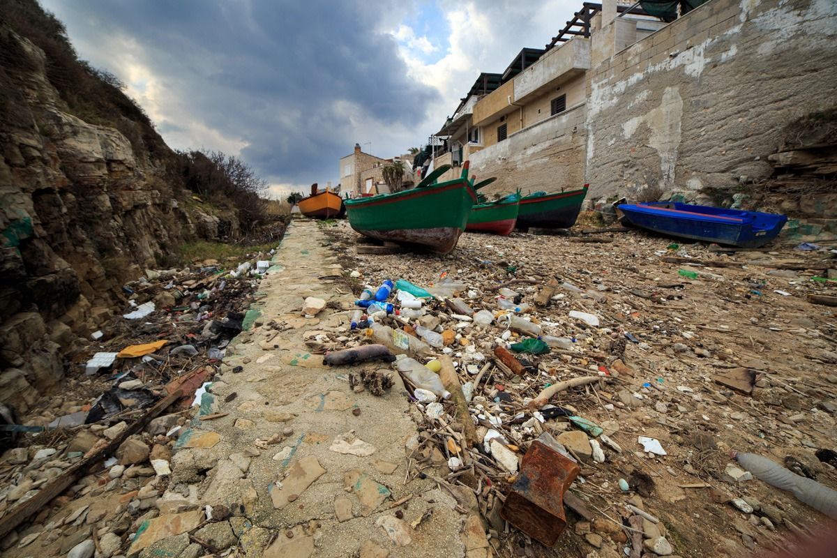 Tipico fondale marino