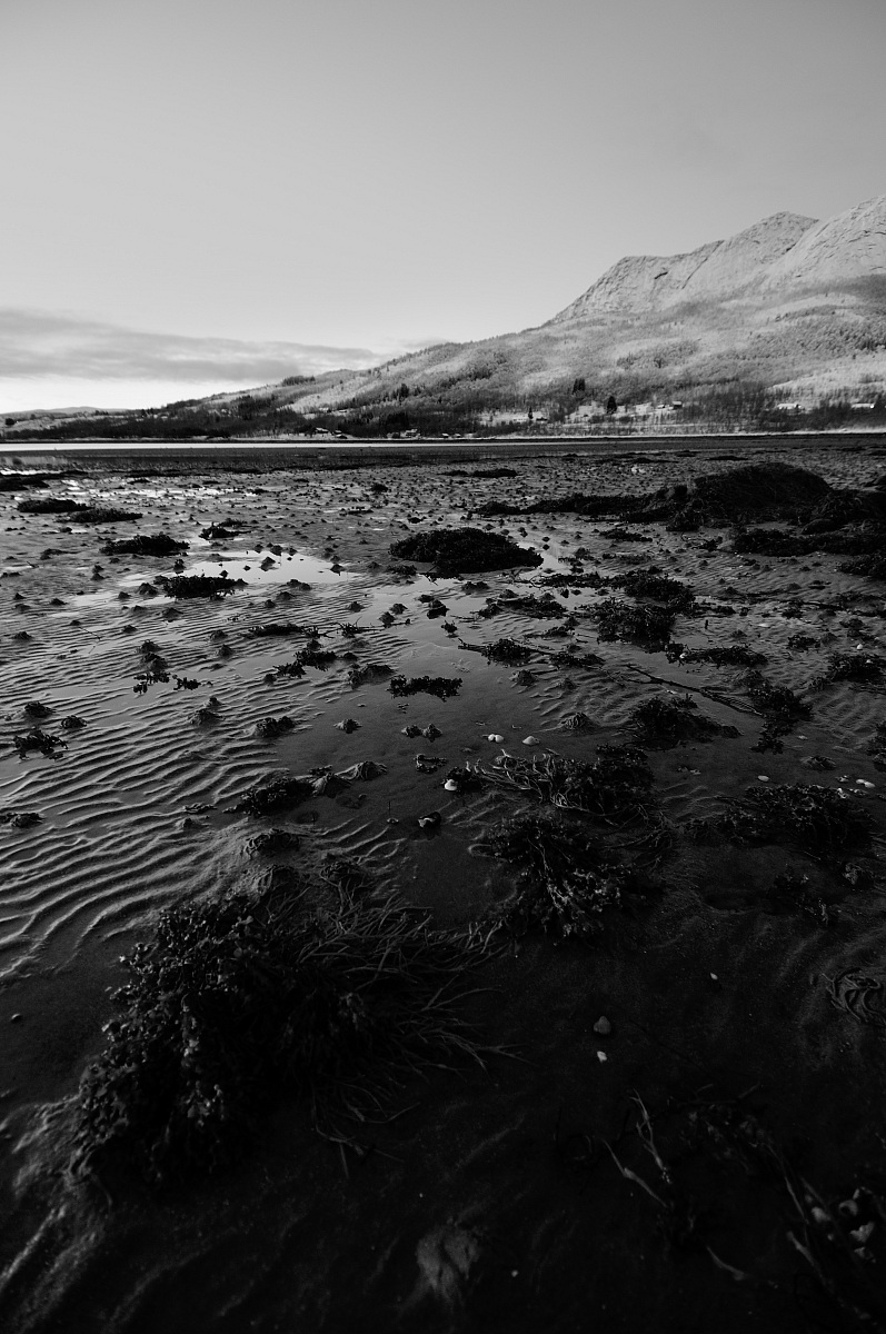 Low tide, Norway.2