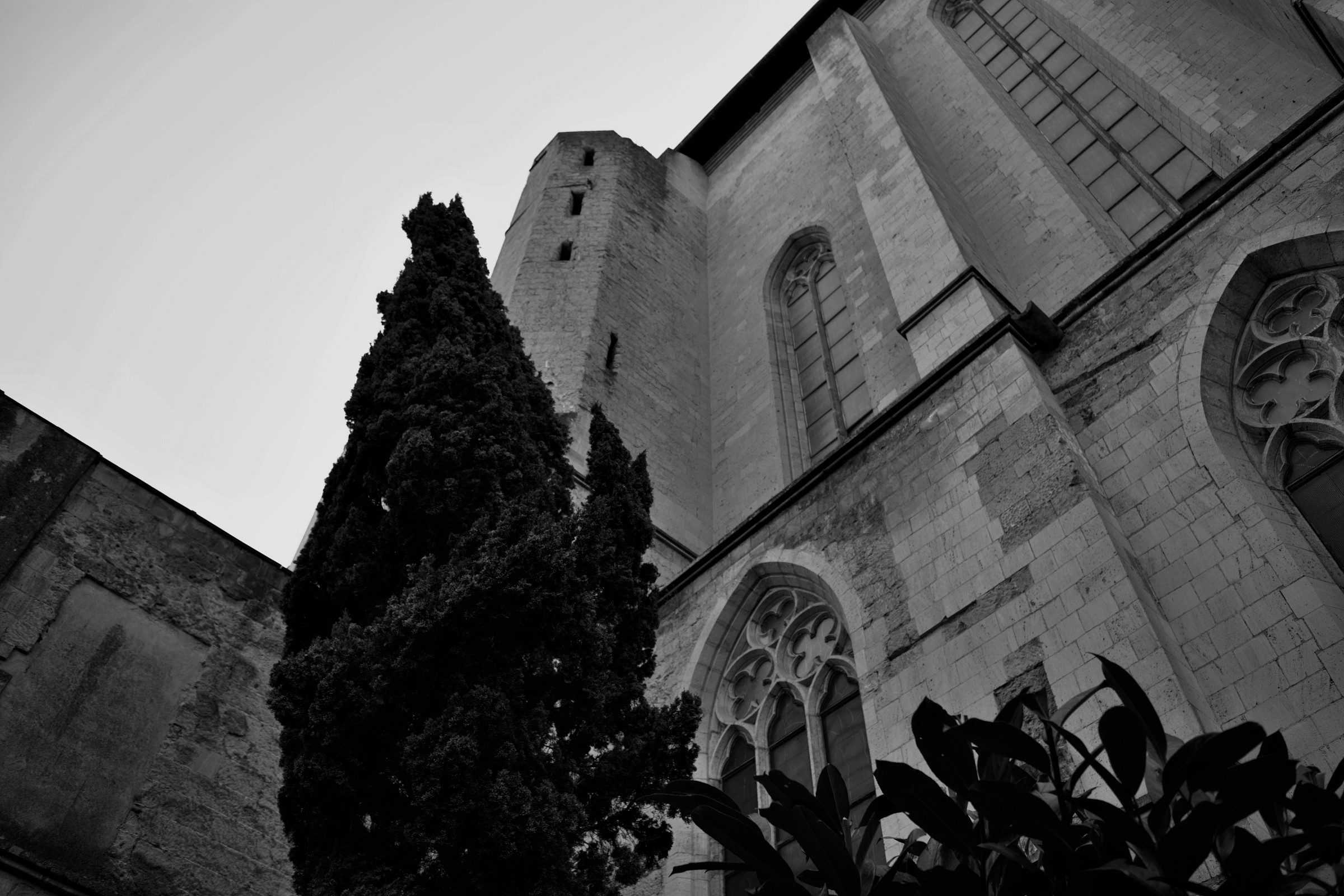 Complesso Santa Chiara - particolare