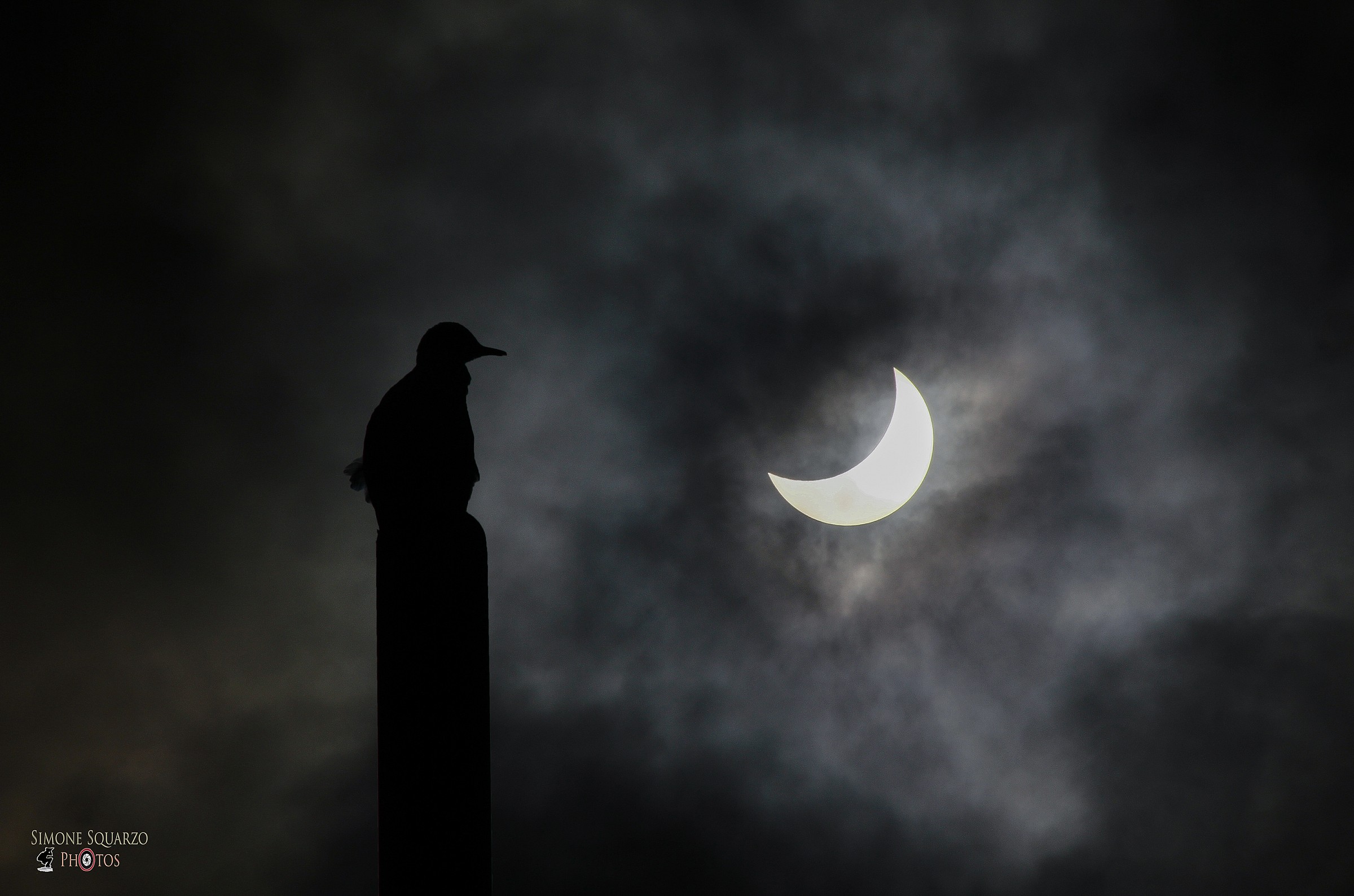 Observing the eclipse