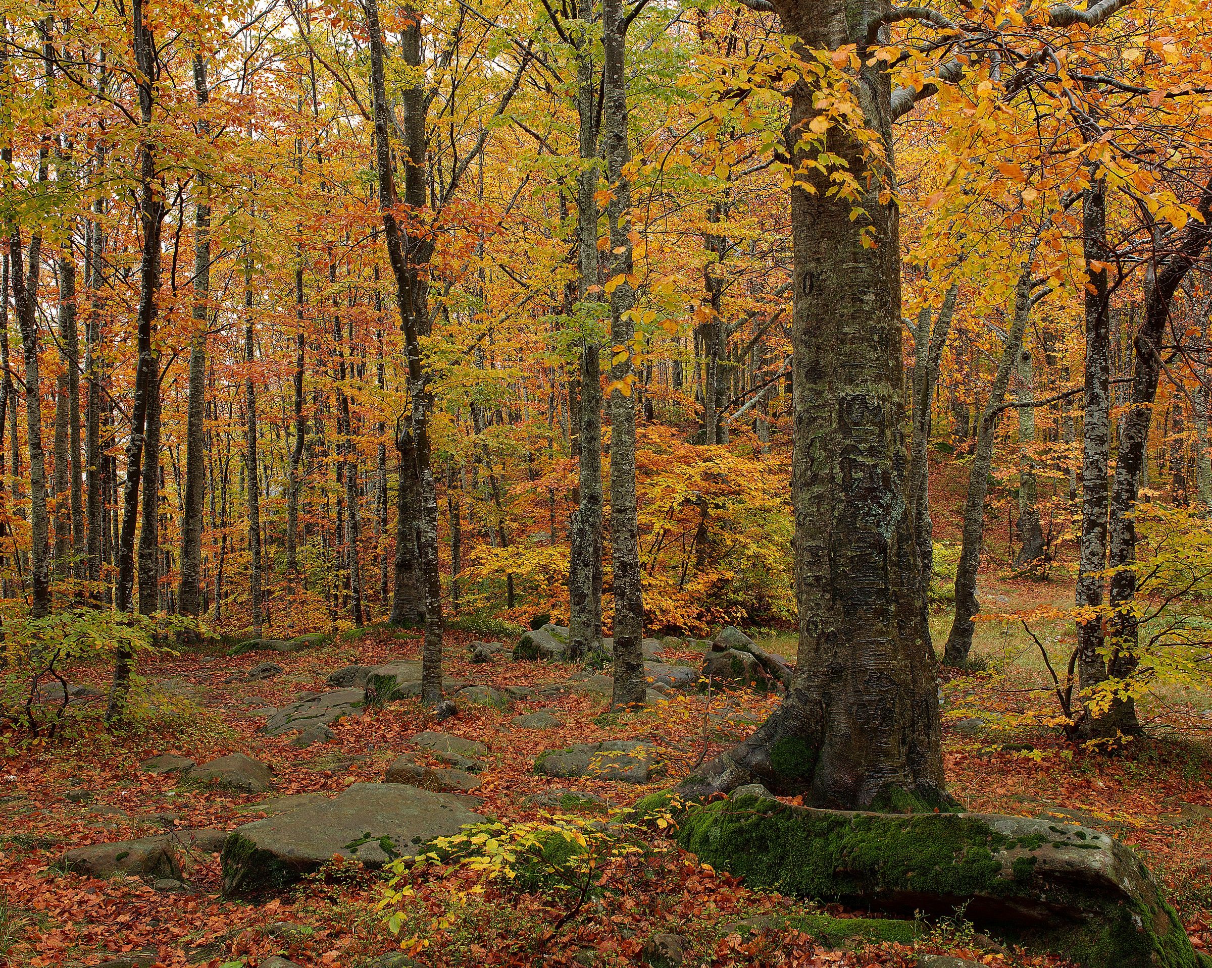 paesaggi dell'appennino