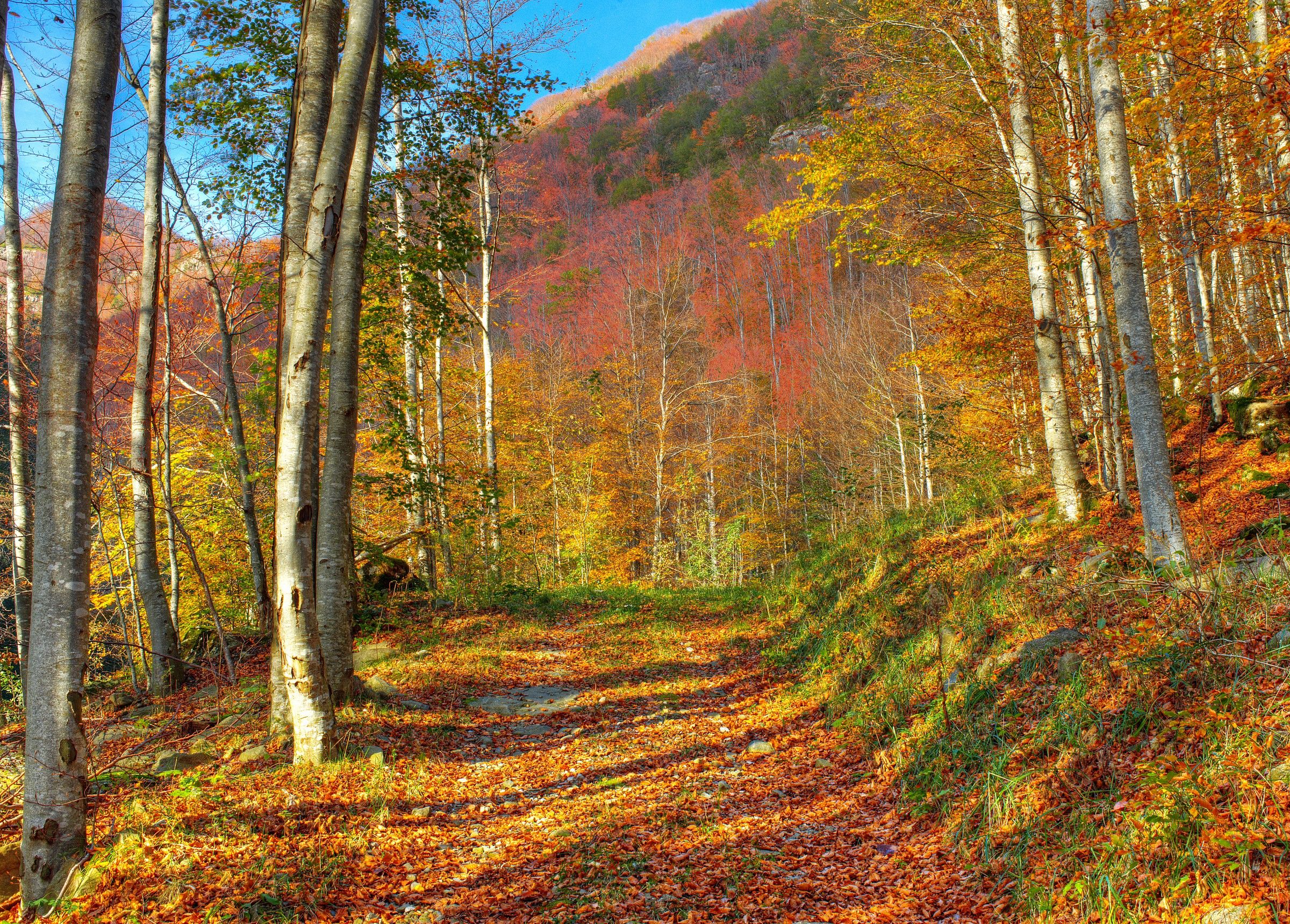 colori caldi sull'appennino