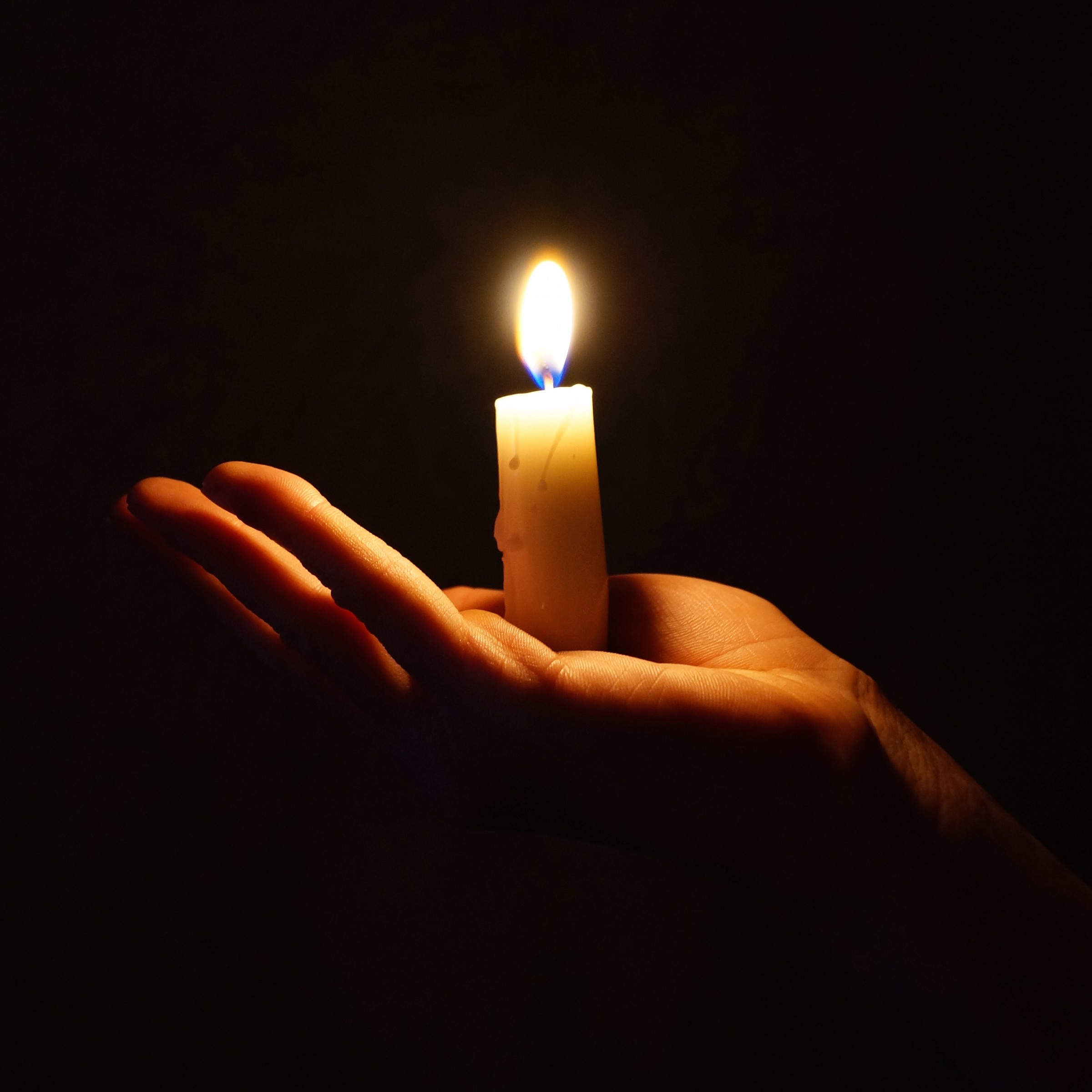 Do not wax Yesteryear