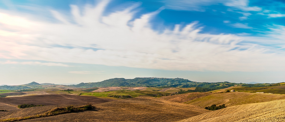 Terra di Siena