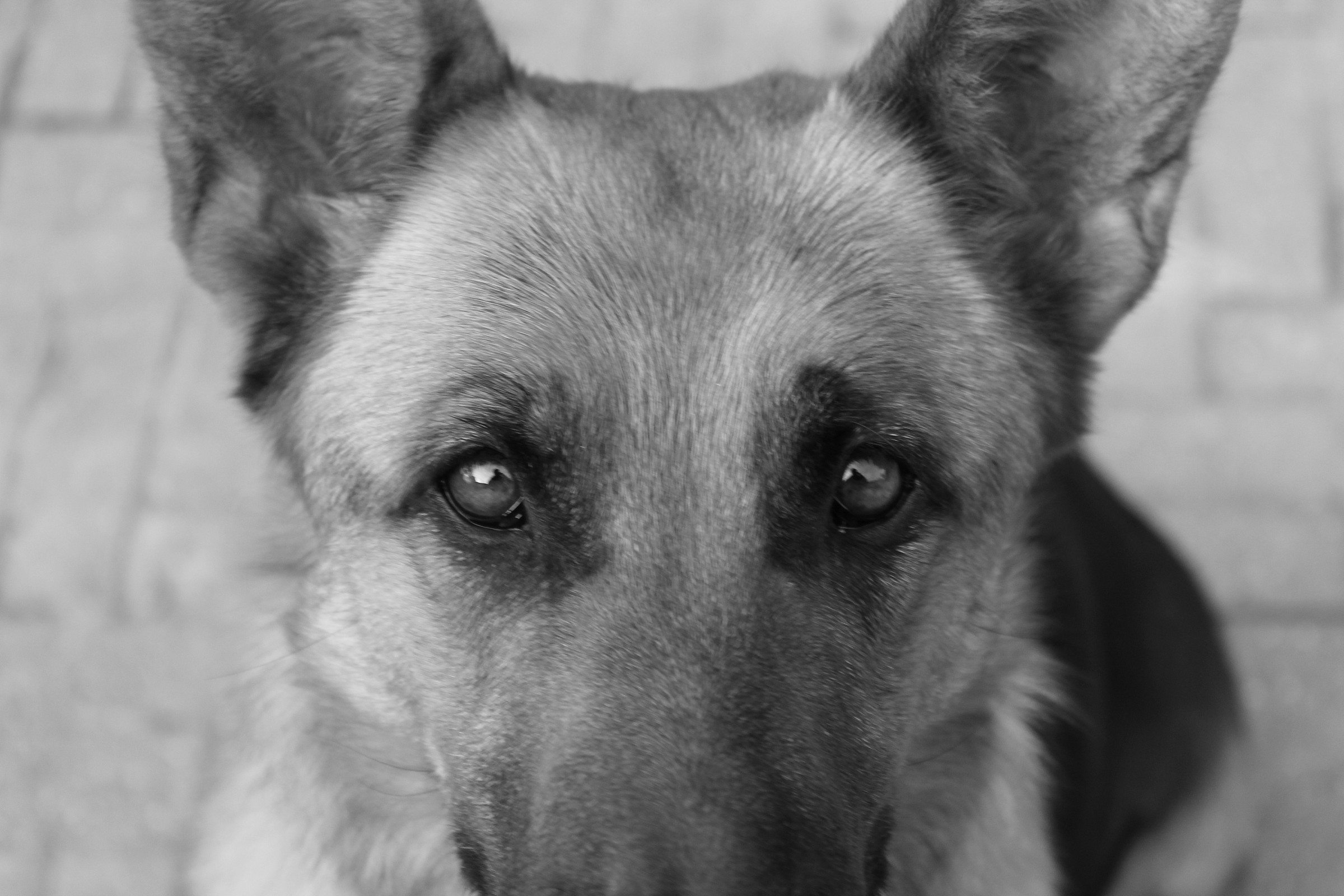 I speak to you with eyes