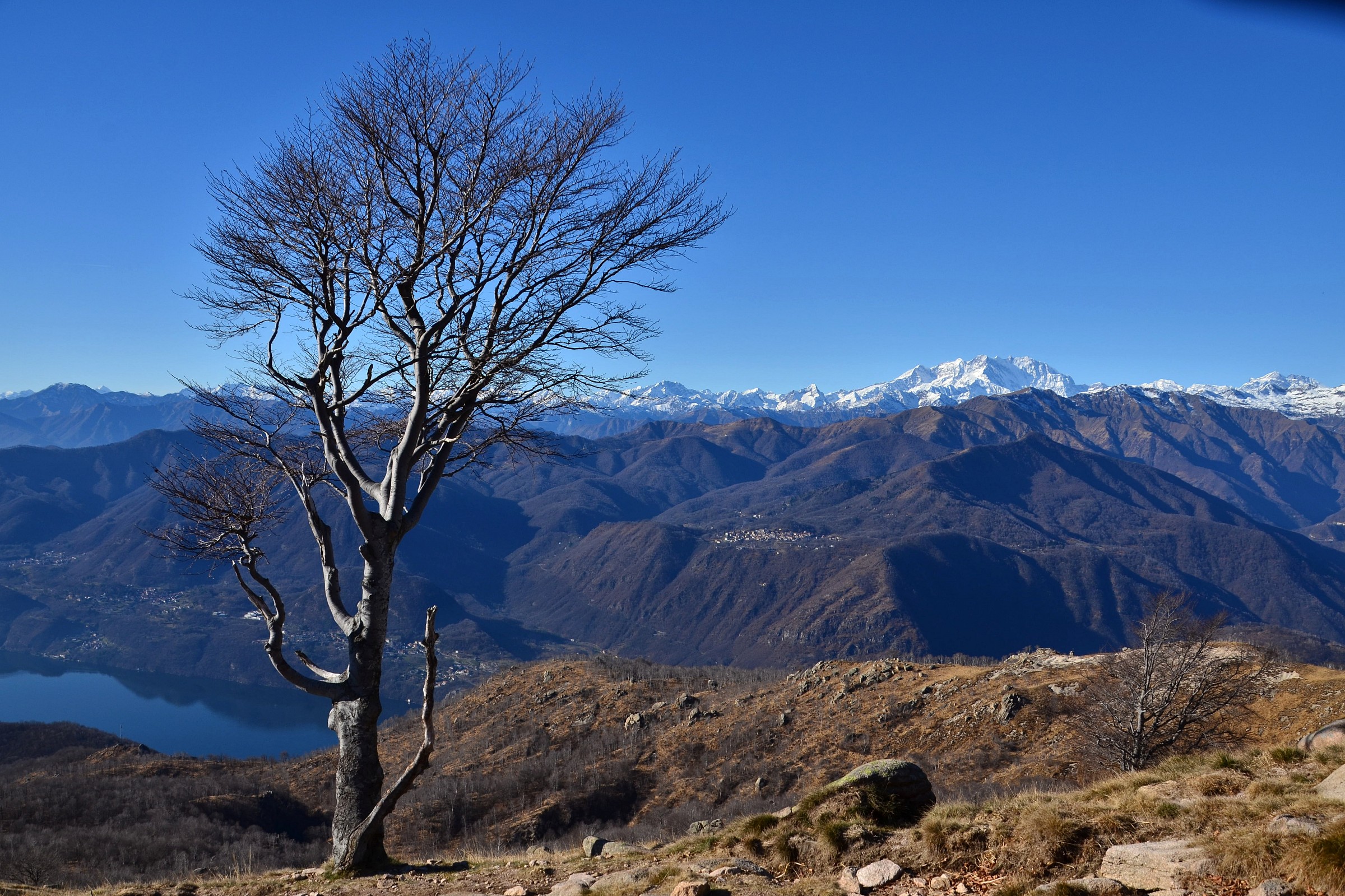 Free protagonists mind ...