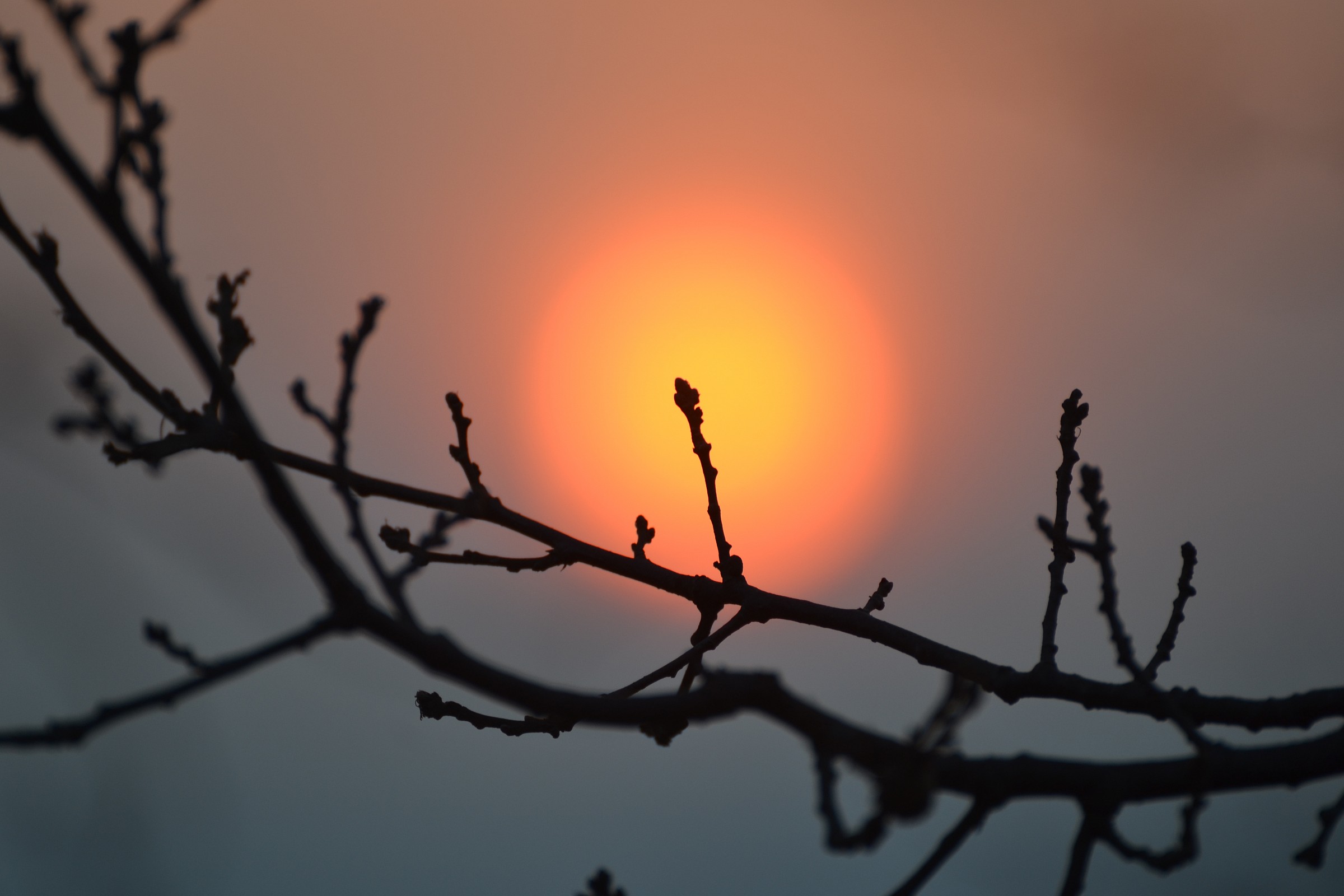 Sunset at the Mount Rufeno