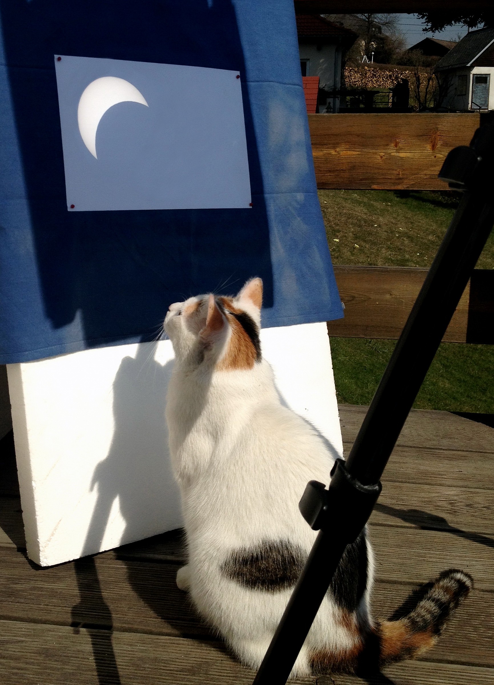 Solar eclipse study.