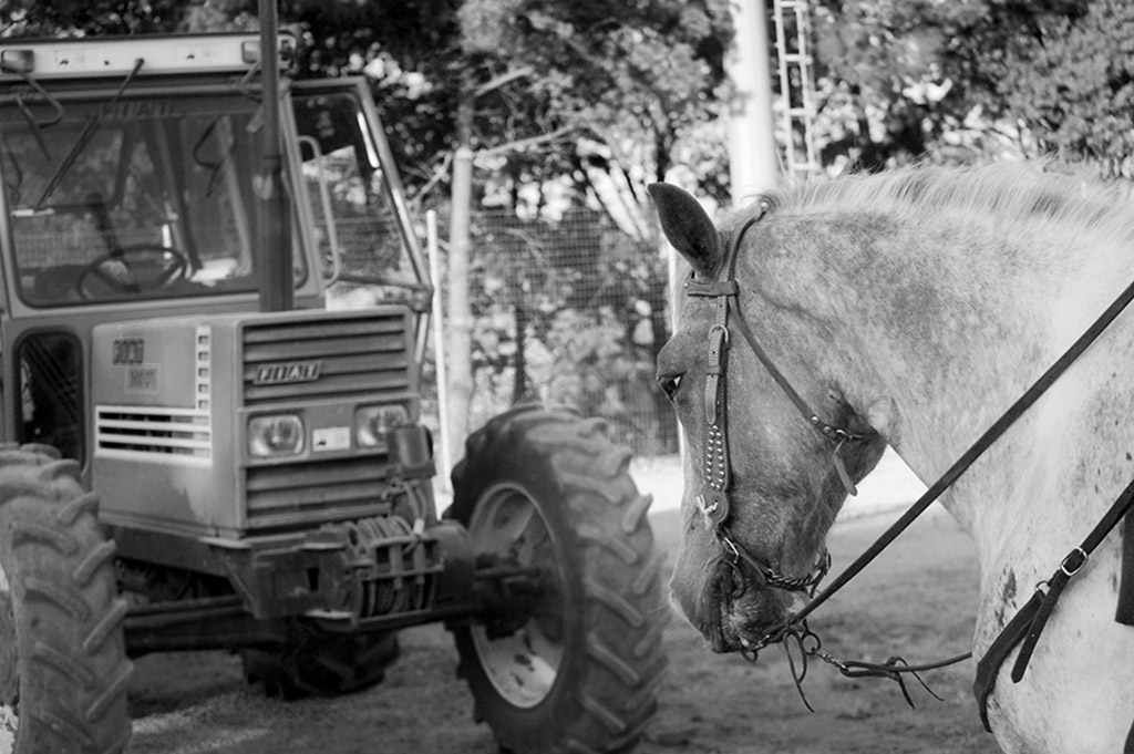 Generazioni a Confronto