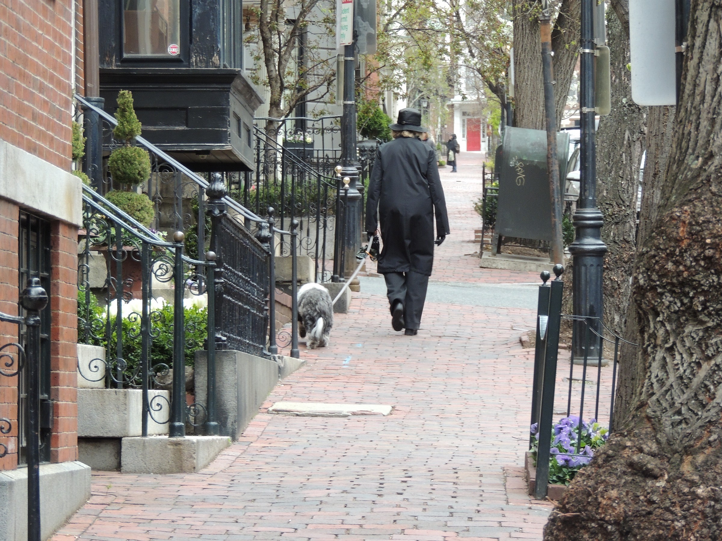walking in boston