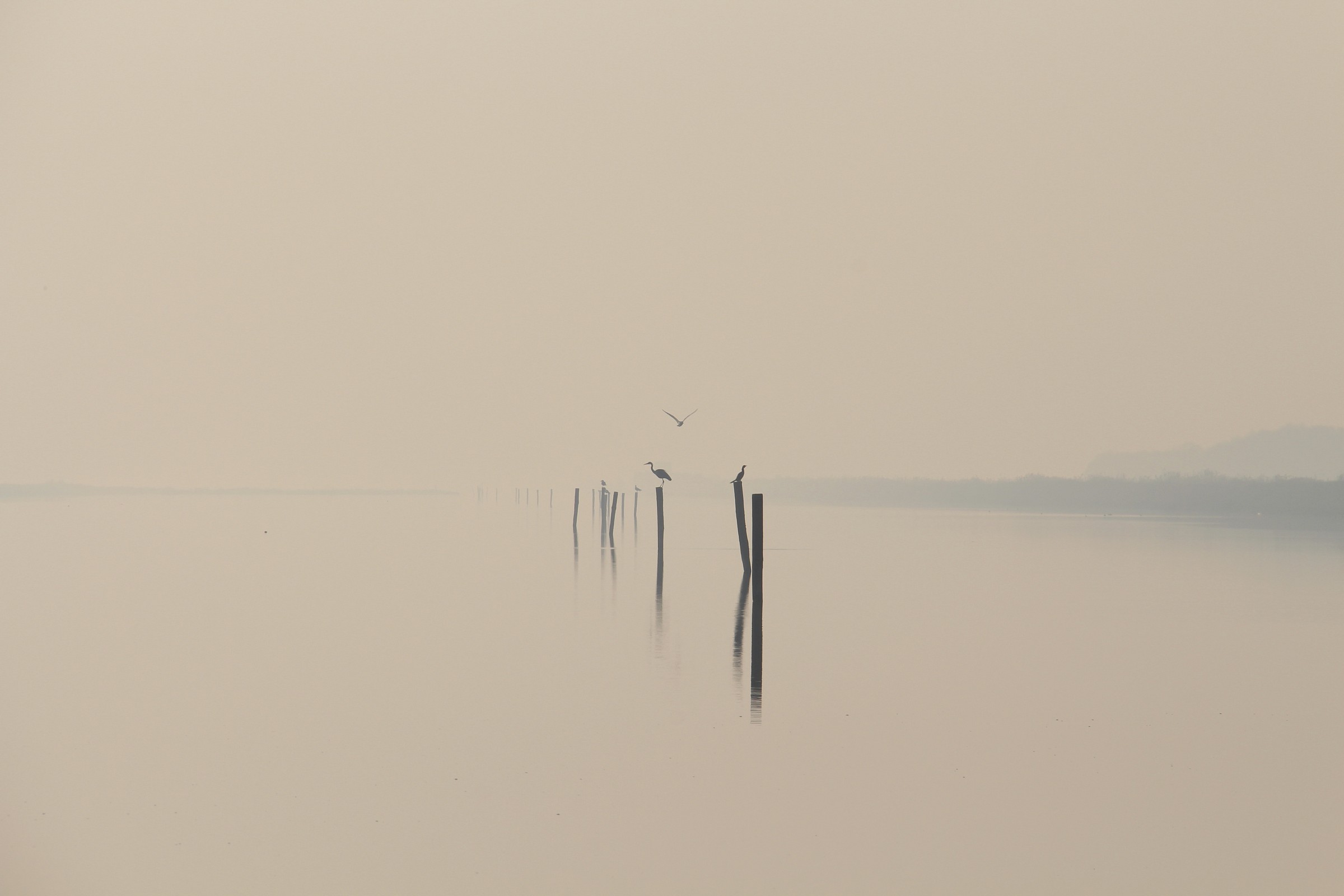Ogni cosa a suo posto un posto per ogni cosa